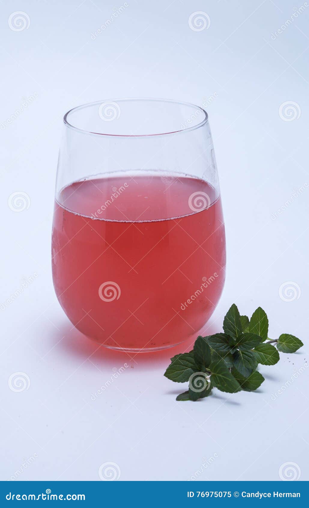 Kombucha Fermented Tea stock image. Image of fermentation 76975075