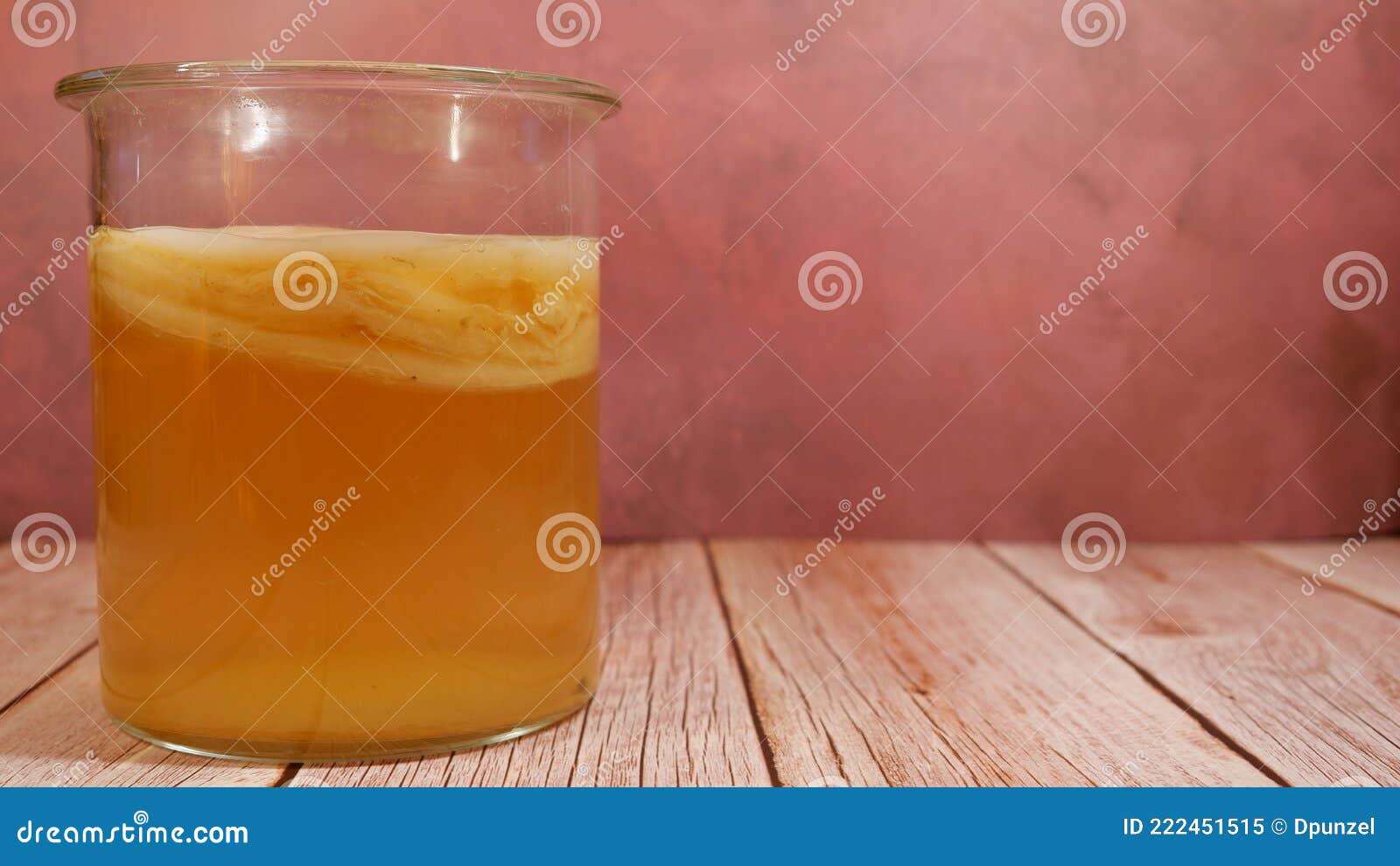 kombucha ferments in a tall glass