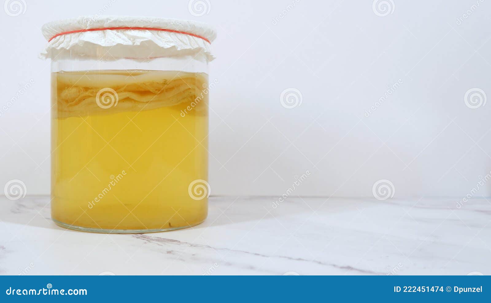 kombucha scoby ferments in a glass