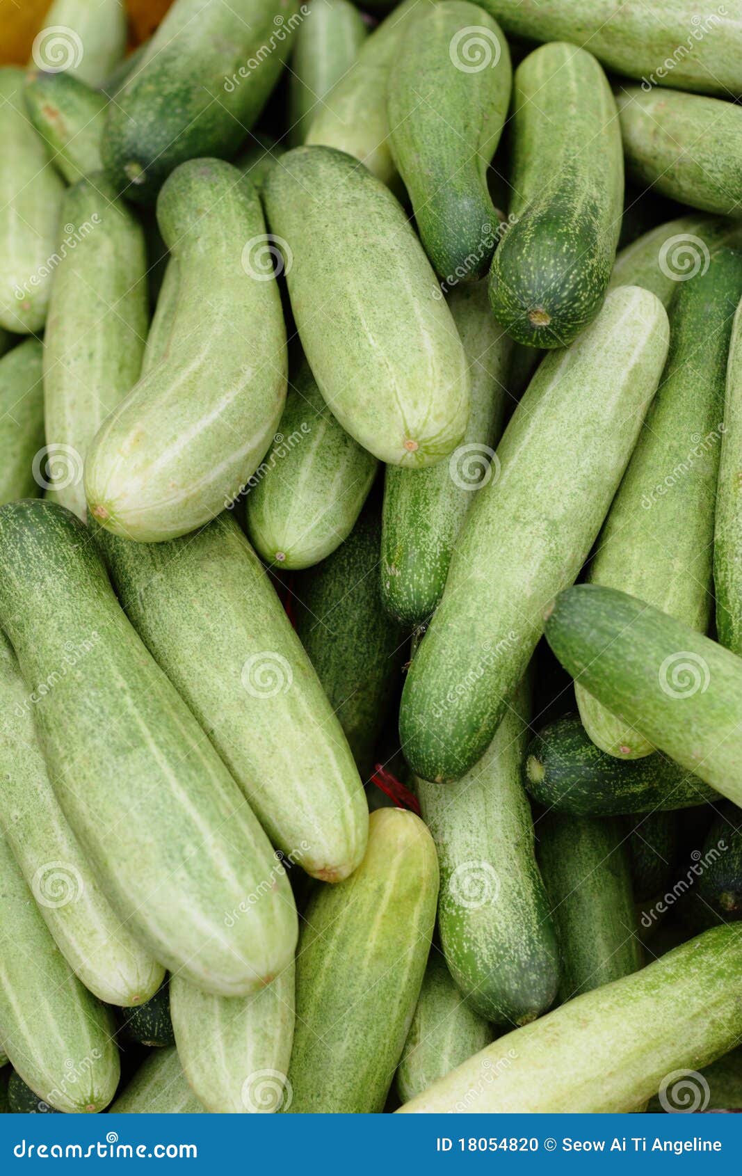 Een bos van komkommers op vertoning in markt