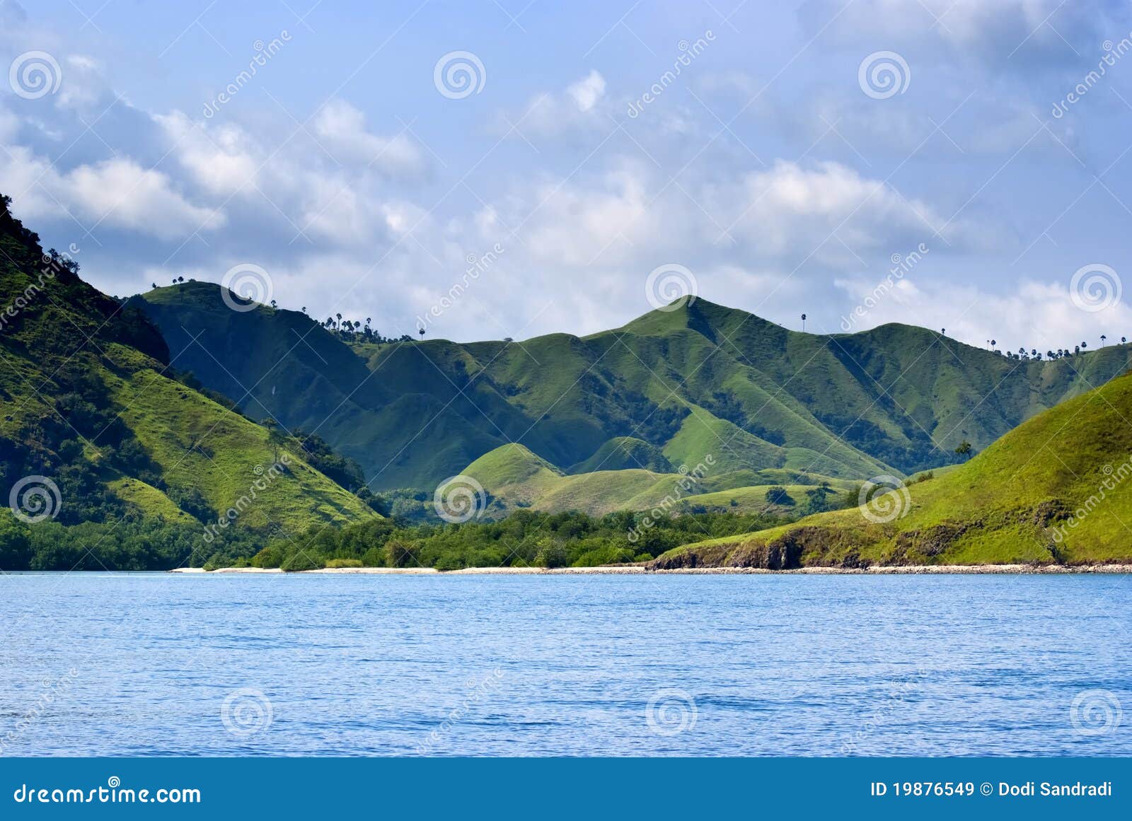 Komodo Island stock image. Image of beach, island, ocean 19876549