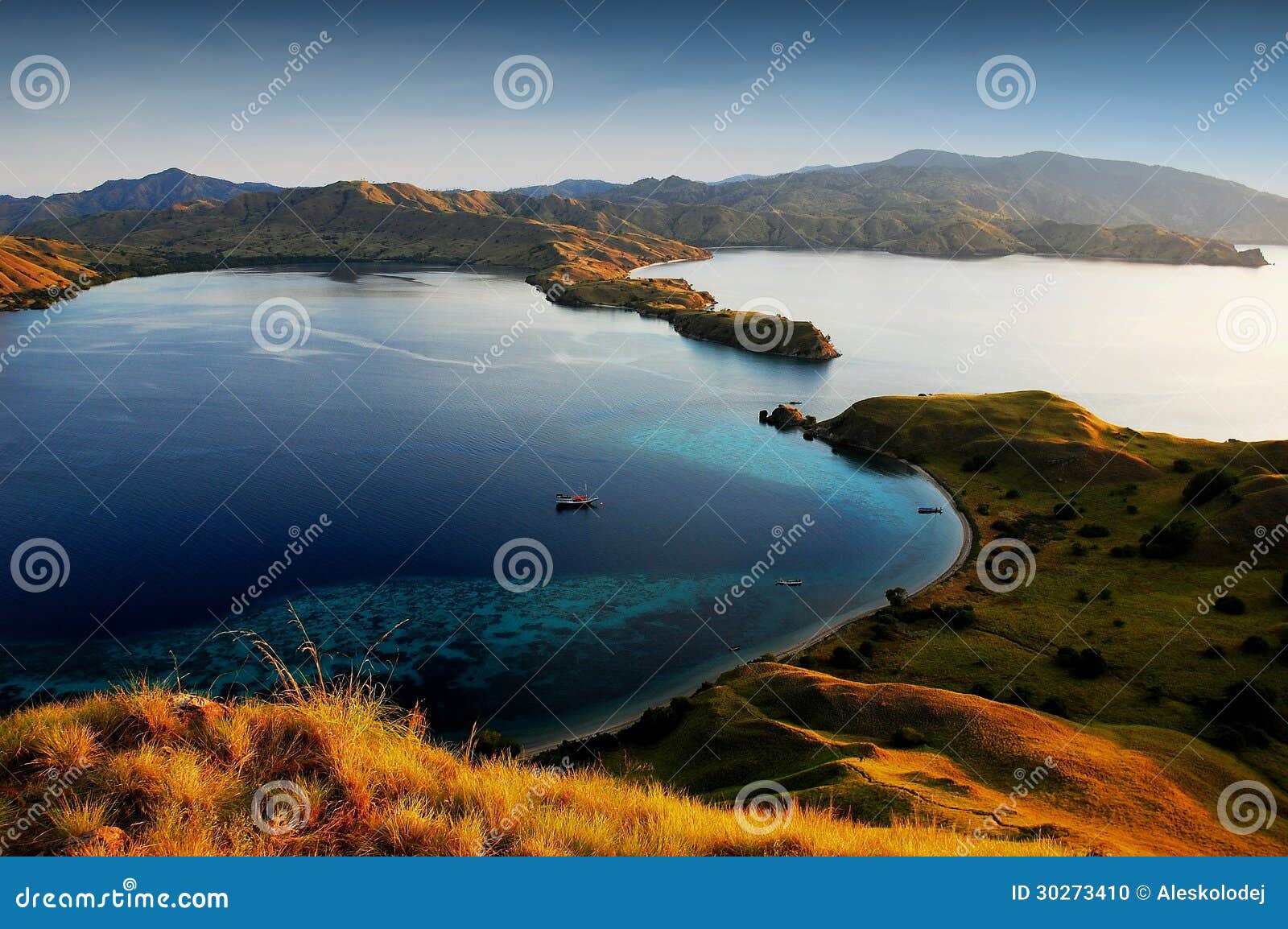 Komodo Island,Indonesia, Januar 24, 2019Deer In Komodo National Park