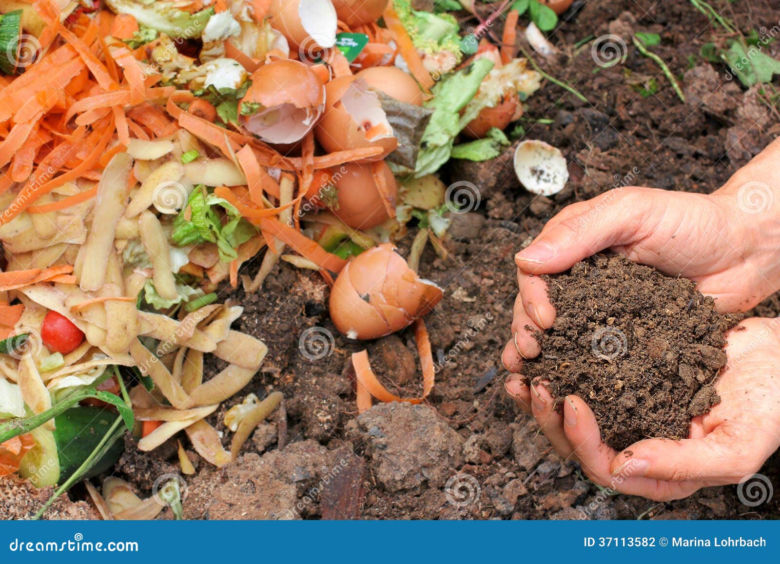 Kompost Mit Kompostierter Erde Stockfoto Bild von landwirt, frucht
