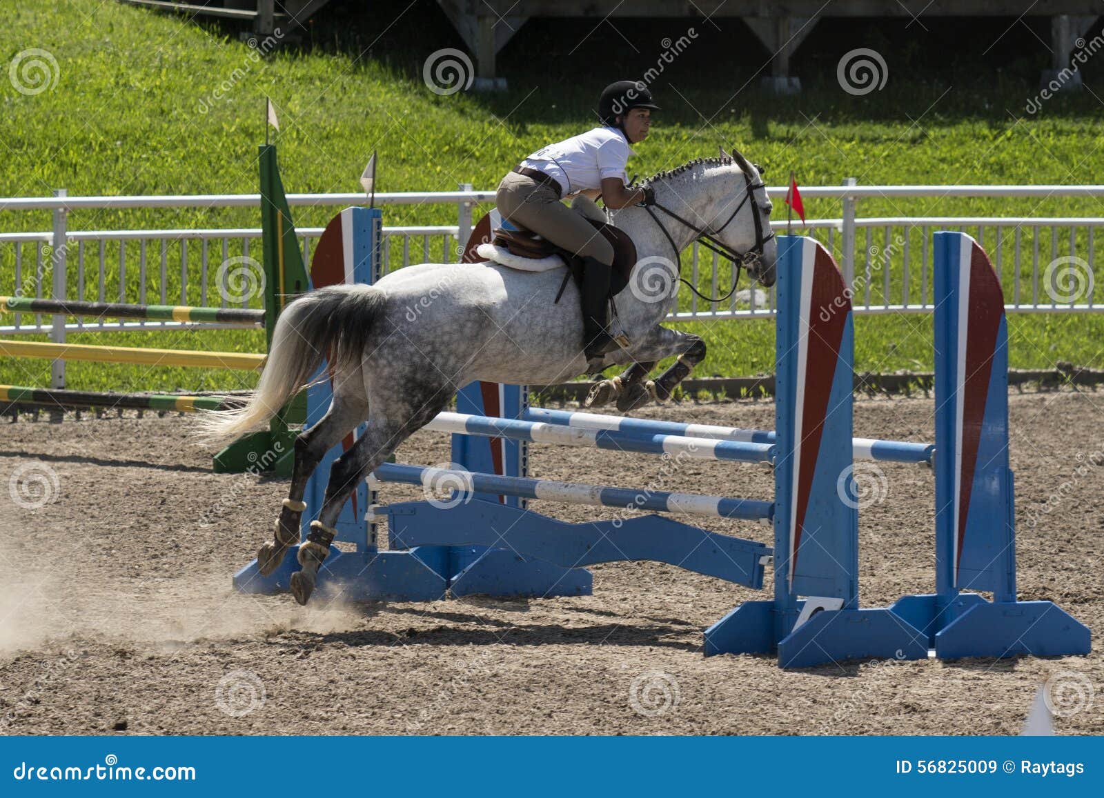 Konia equestrian jumping. Bromont Czerwiec 14, 2015 młoda kobieta koński jeździec skacze przeszkodę z jego pięknym białym sporta koniem w rywalizaci equestrian sporta turniej