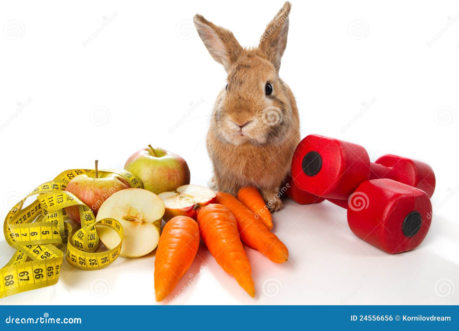 Про зайчишку и овощи. Кролик с овощами. Кролик с яблоками. Зайчик с овощами. Кролик с овощами на белом фоне.