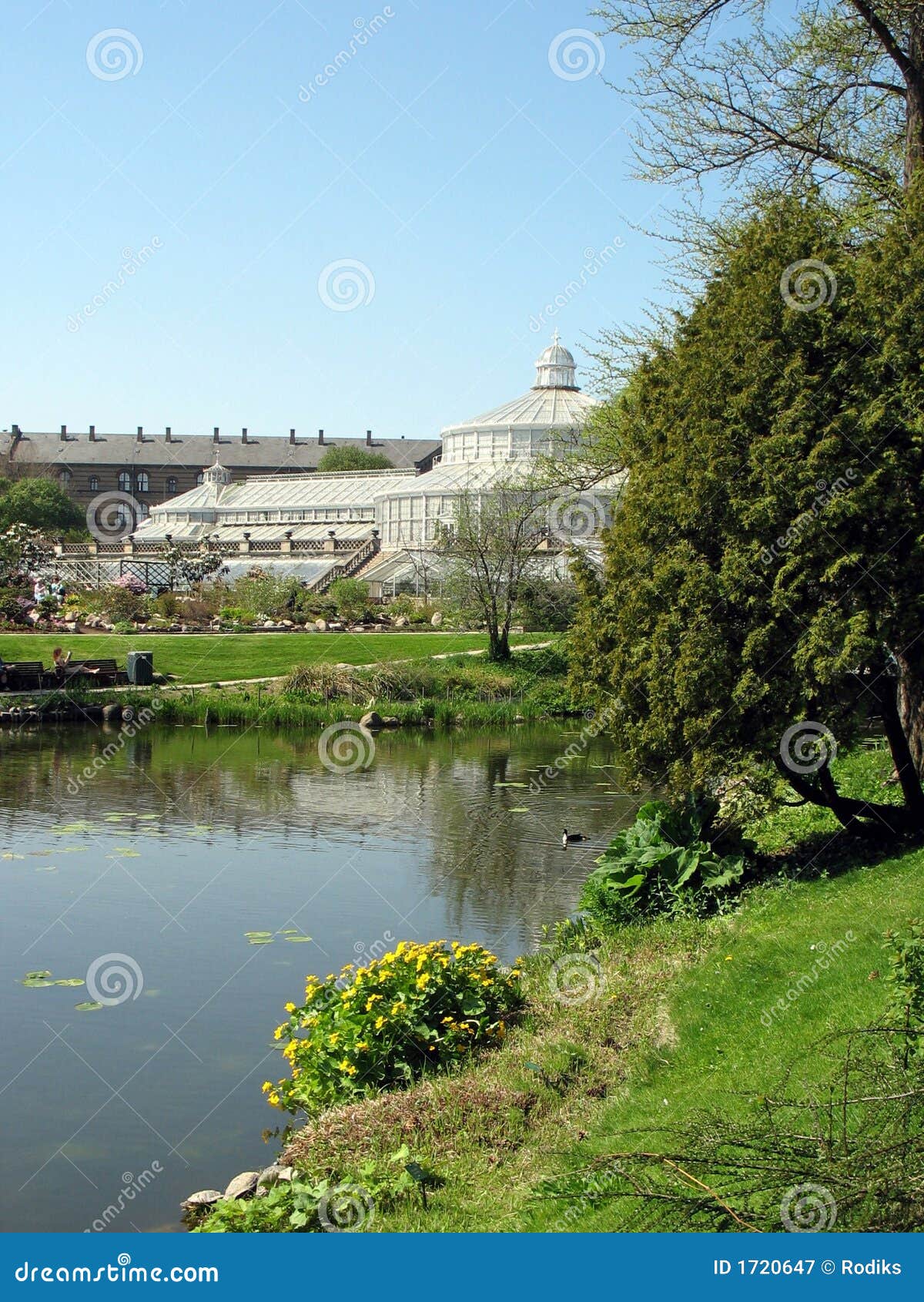 Kopenhagenbotanischer Garten 2 Stockbild Bild von blüte, park 1720647