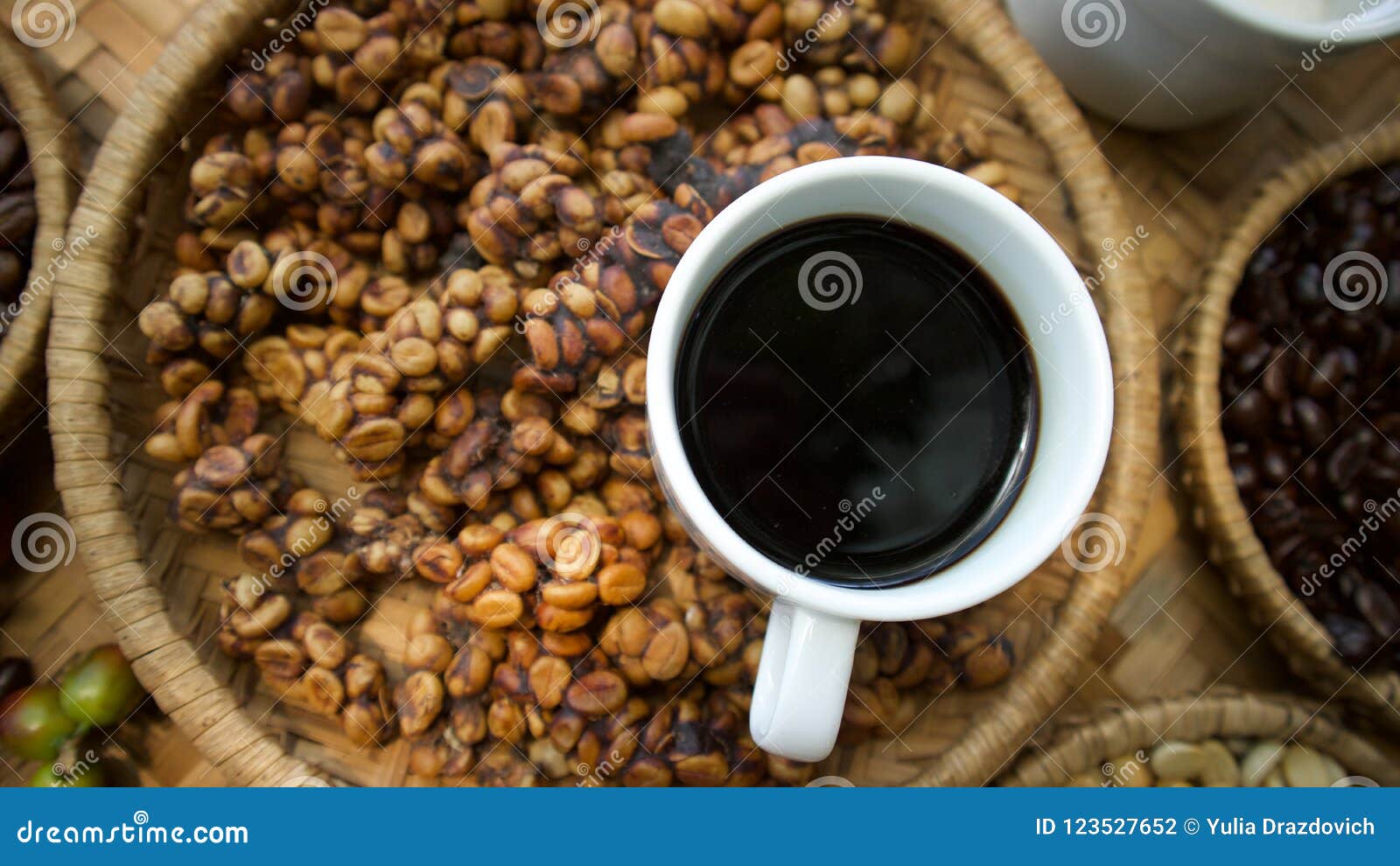 Kopi Luwak Or Civet Coffee Stock Photo Image Of Isolated 123527652