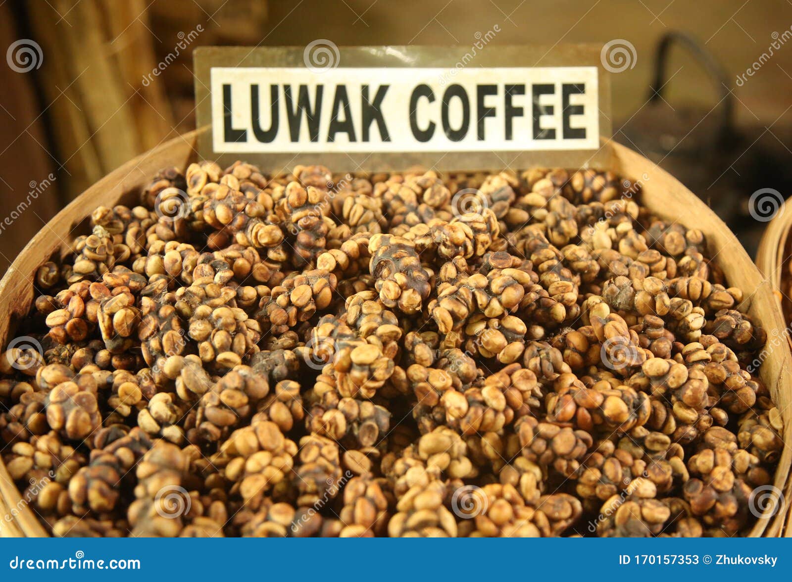 Kopi Luwak Or Civet Coffee Is One Of The World S Most Expensive And Low Production Varieties Of Coffee Stock Image Image Of Heap Berry 170157353