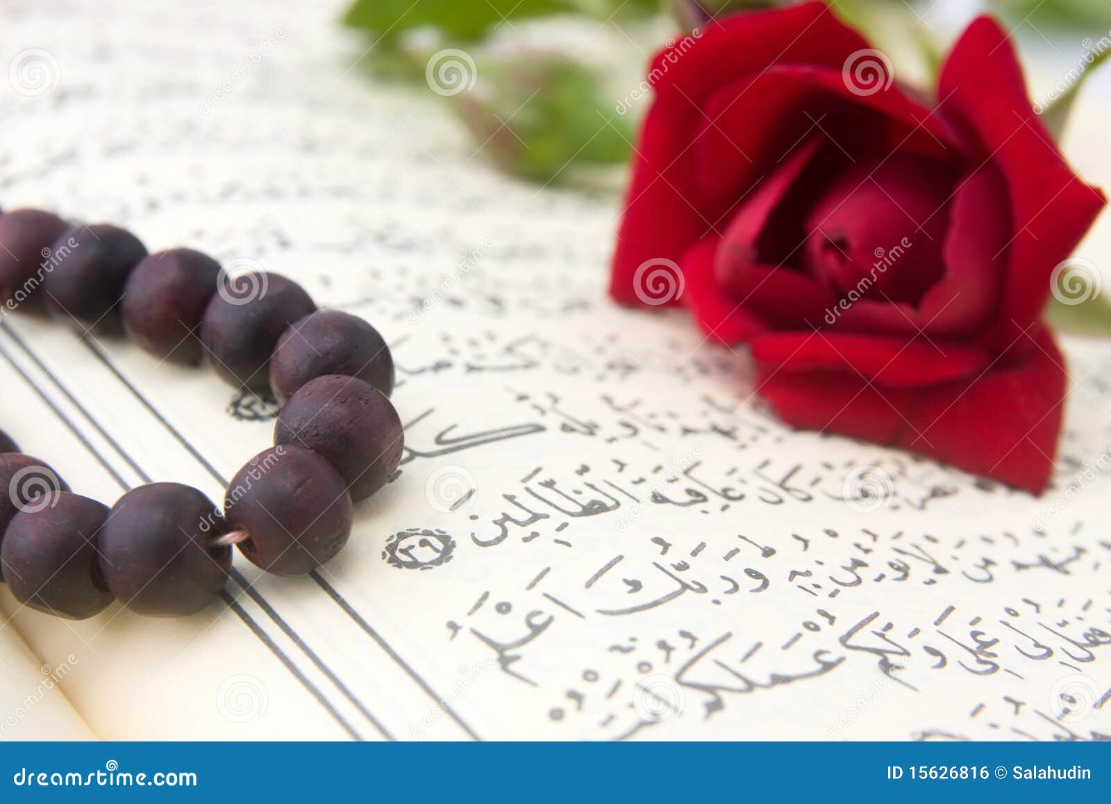 Koran and rose flower stock photo. Image of koran, religion - 15626816