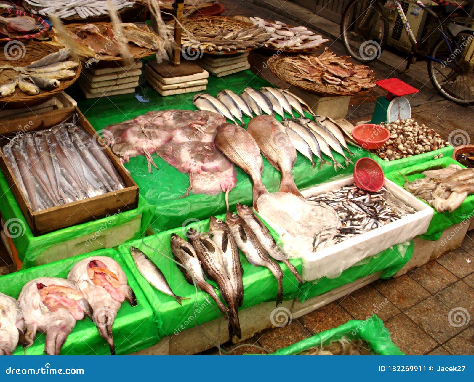 Korea fish market stock image. Image of fishing, market 182269911