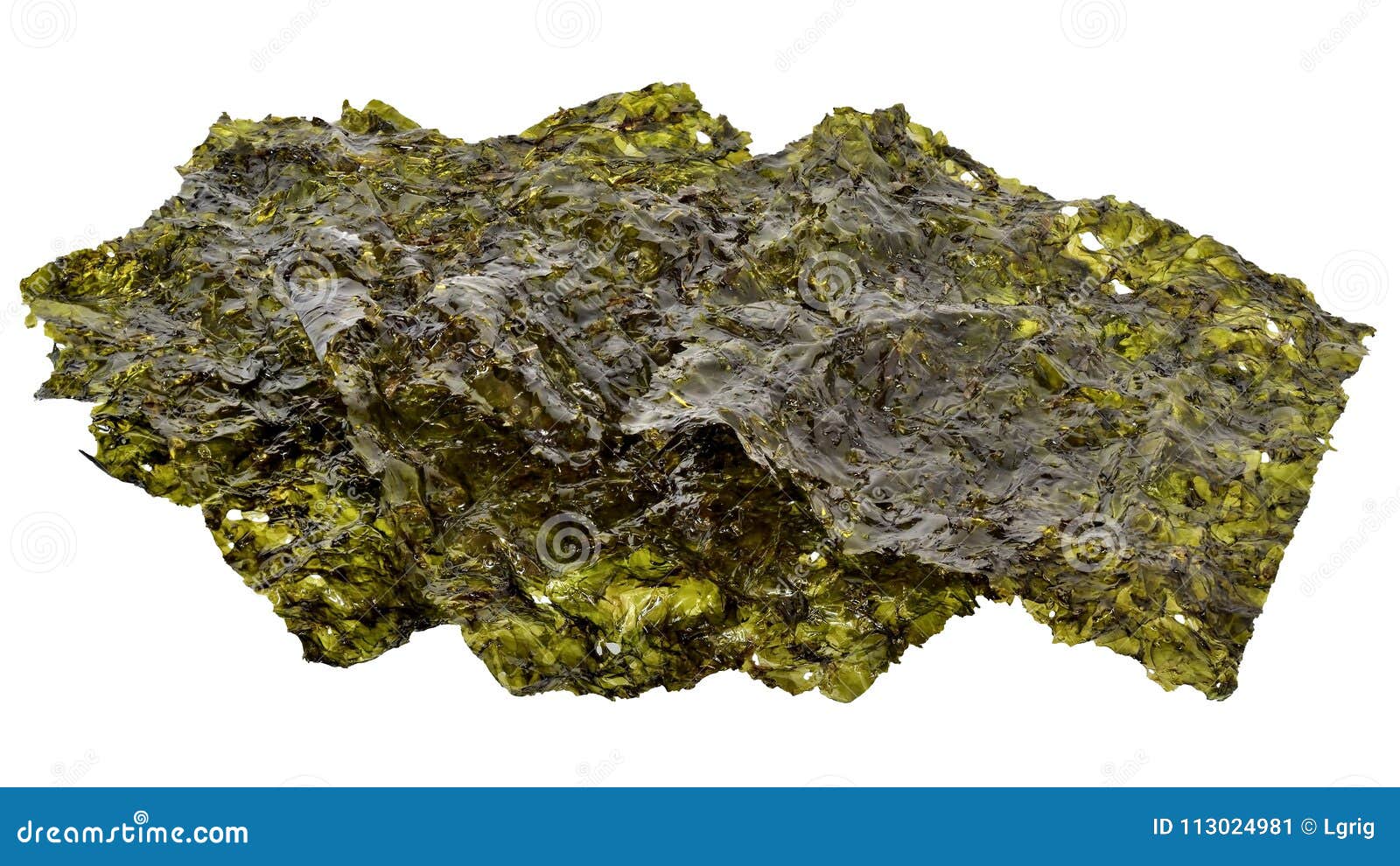 Korean Food Nori Seaweed Sheets Isolated Stock Image Image Of