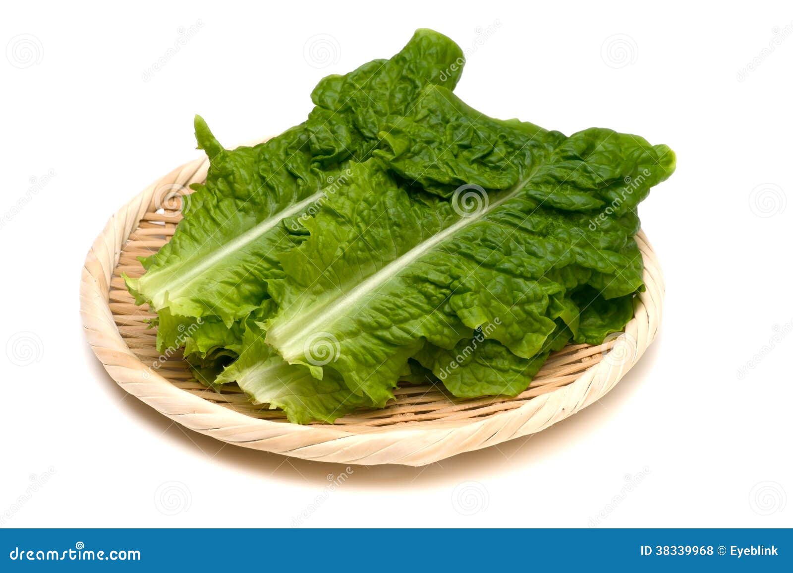 Korean LettuceLactuca Sativa Stock Photo Image of organic, lettuce