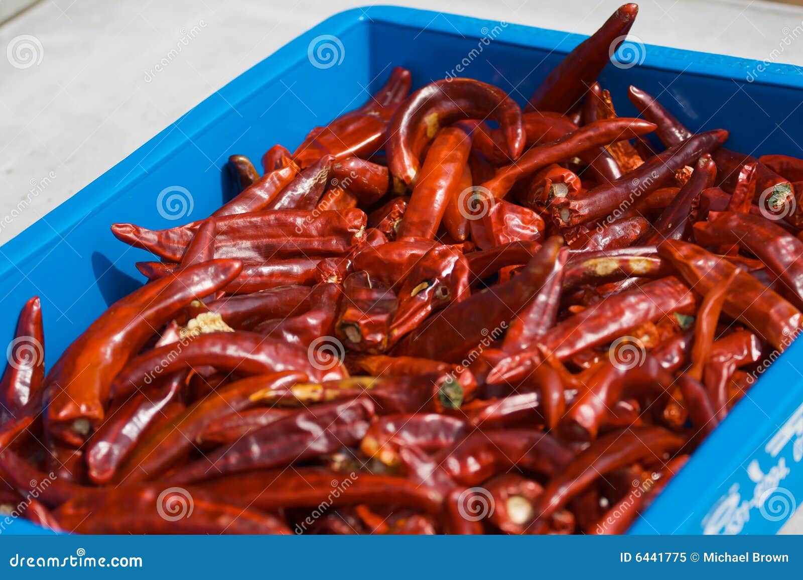 Korean Peppers stock image. Image of chile, spicy, market 6441775