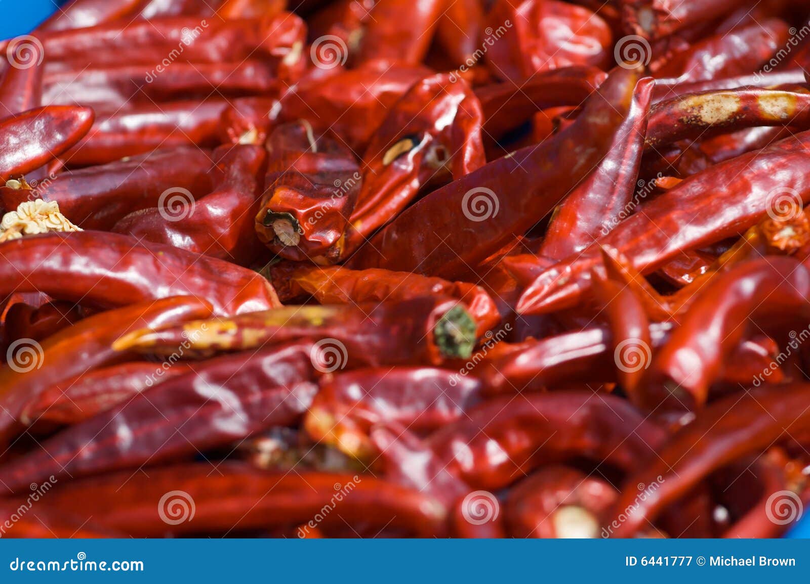 Korean Peppers stock image. Image of kimchi, chikso, chile 6441777