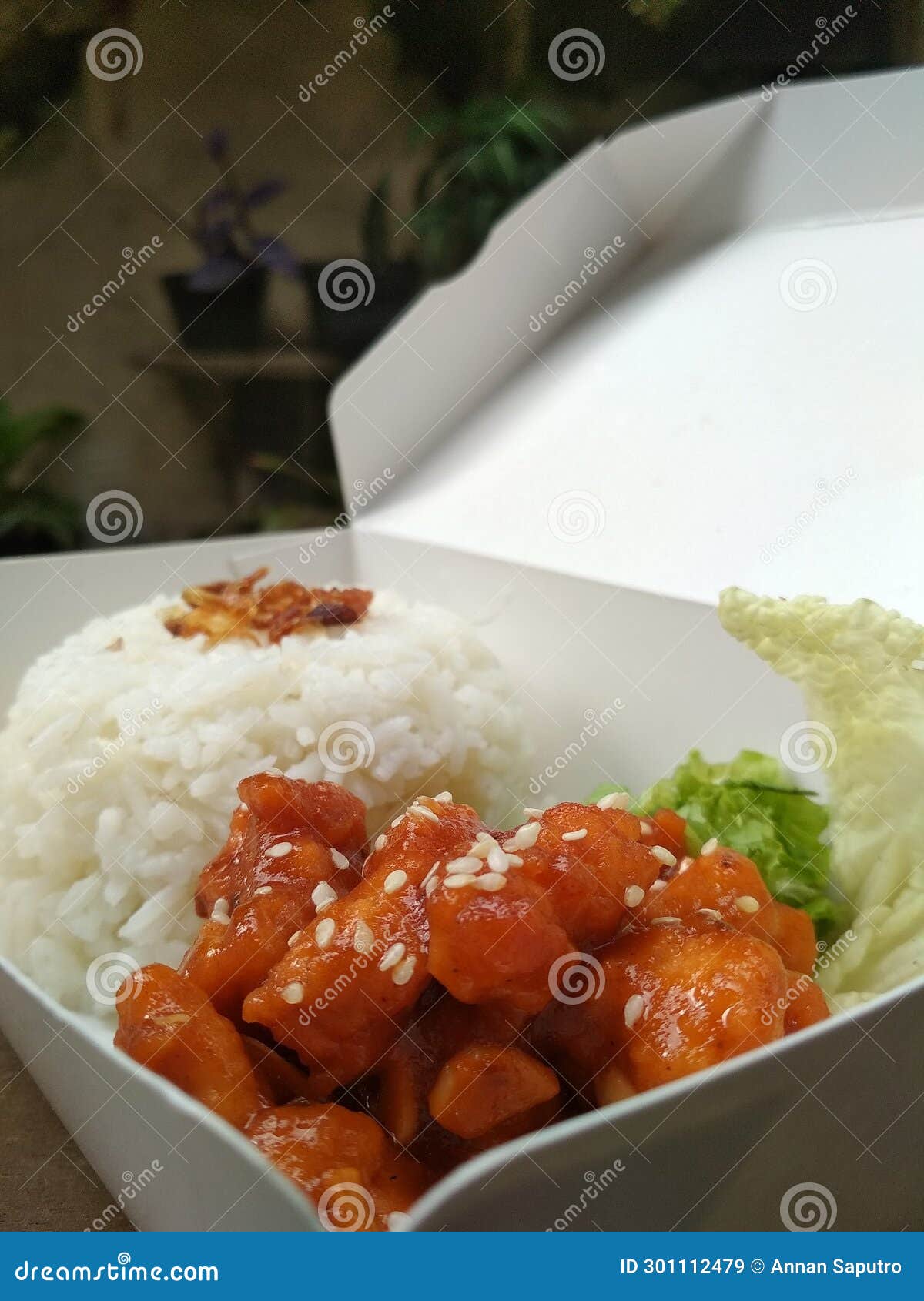 Korean Spicy Chicken with Rice and Vegetable Salad Stock Image - Image