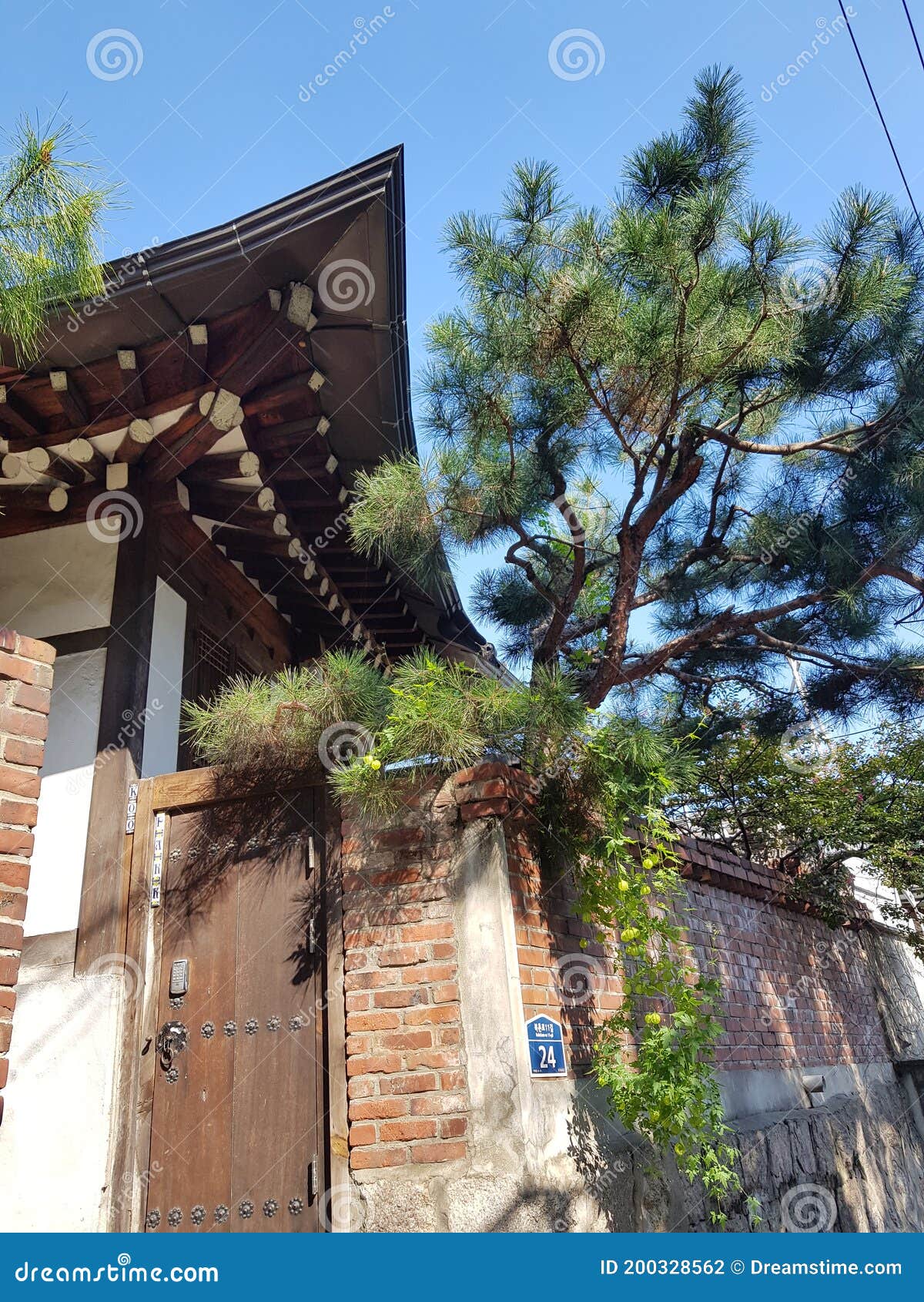Korean Traditional Wood House and Tree Stock Photo Image of house