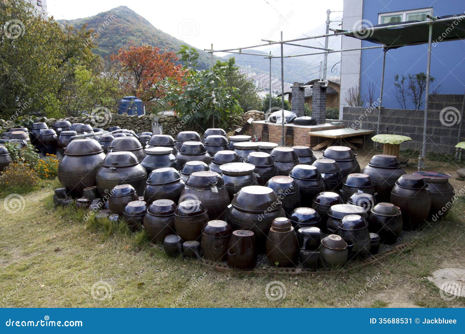 korean village house front yard jars tradition sauces