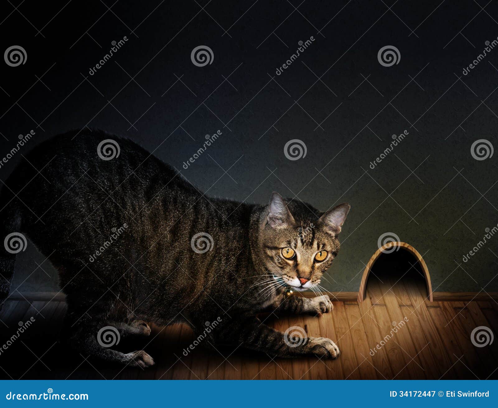 Kot i mysz. Tabby kot kuca na drewniany podłogowy patrzeć w wielką myszy dziurę w ścianie.  Pojęcie dla kota i myszy gry.