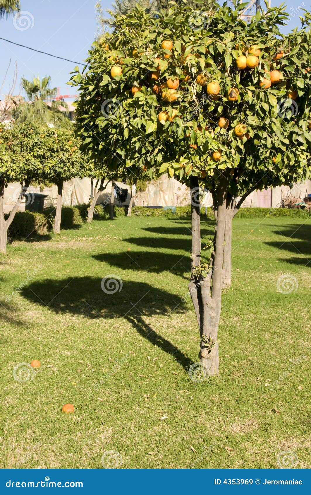 Koutoubia Garden, Marrakesh. Stock Image Image of yard, garden 4353969