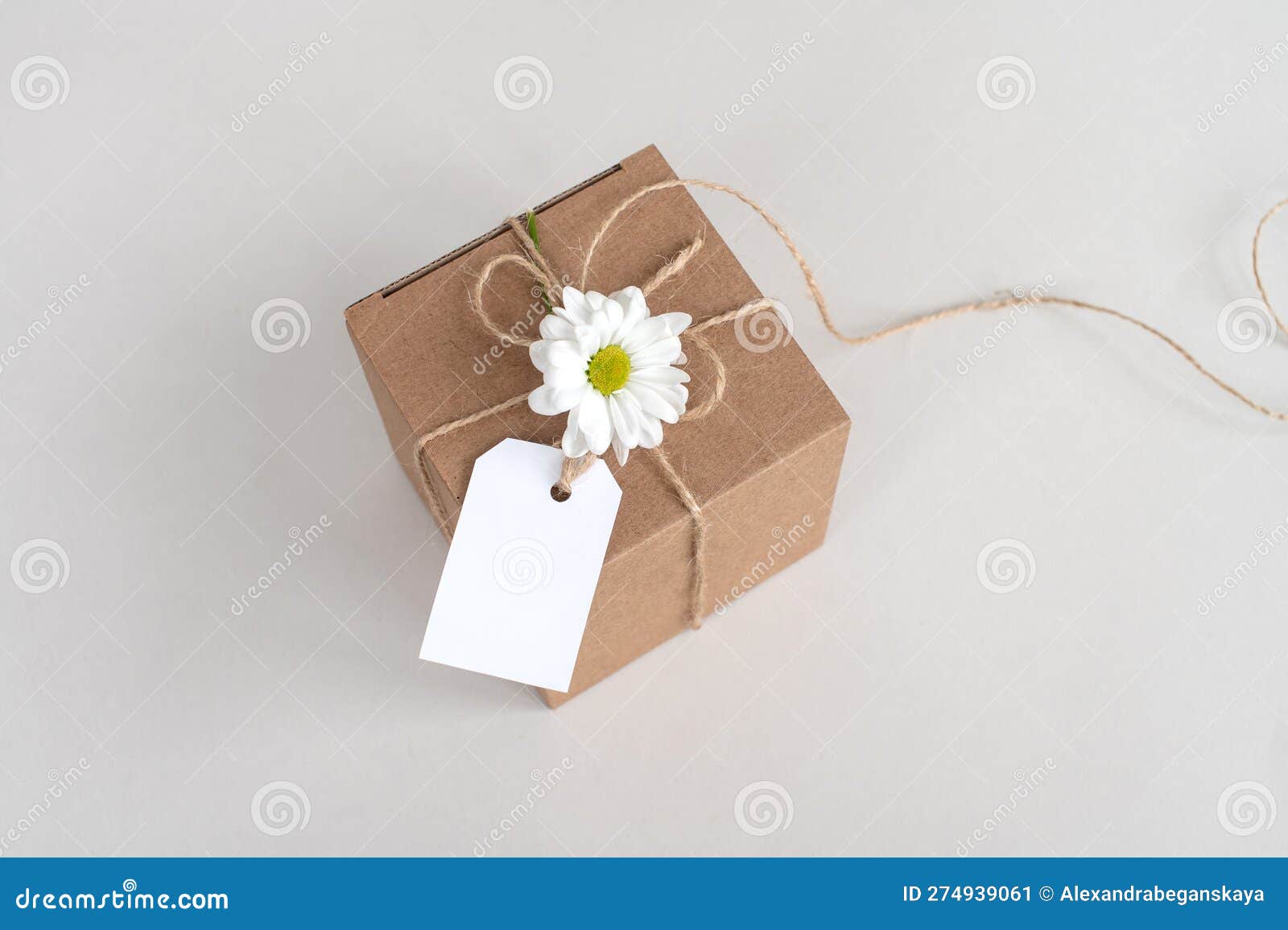 Kraft Box with Blank Label, Price Tag, Tag Mockup, White Cardboard Label  with Rope Cord, Isolated Stock Image - Image of address, empty: 274939061