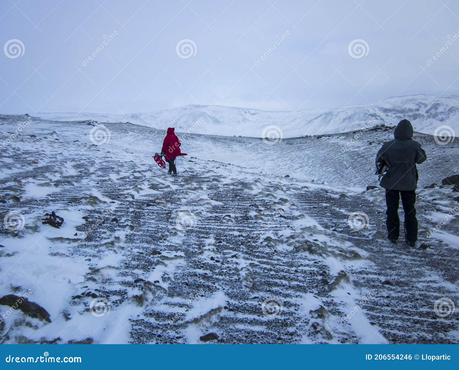 Krajobraz zimowy południowej islandii w europie północnej