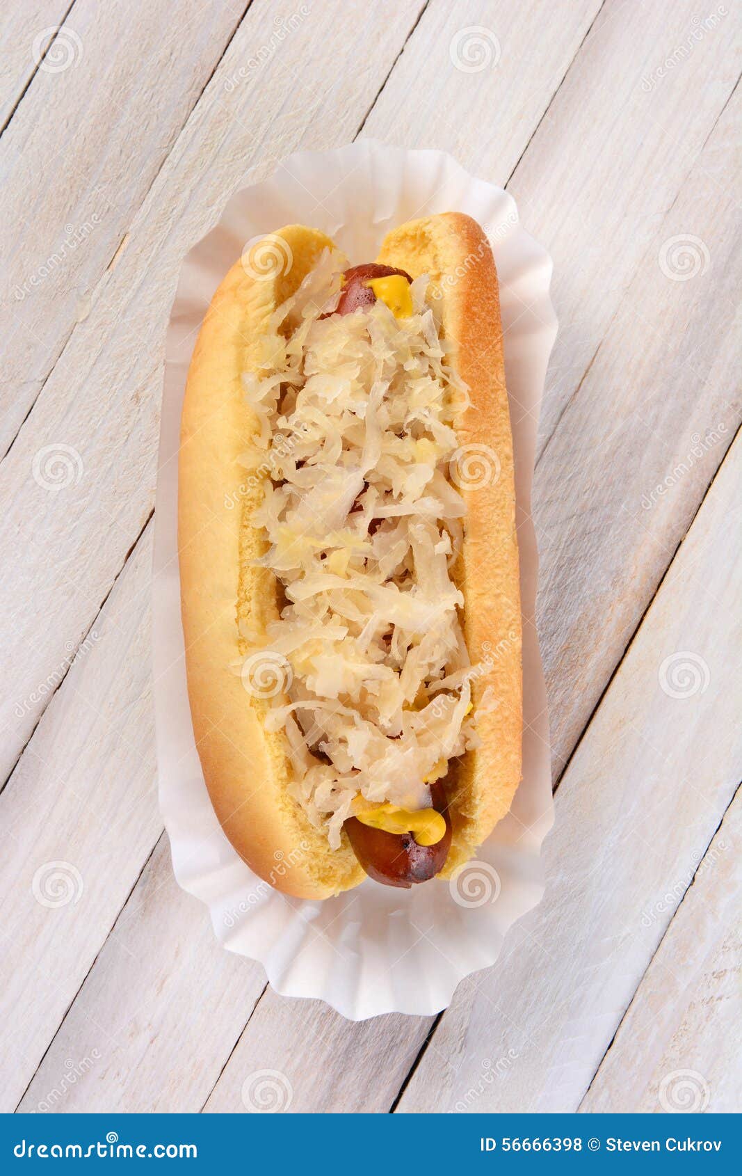 KrautHund stockfoto. Bild von brot, frankfurter, freivermerk 56666398