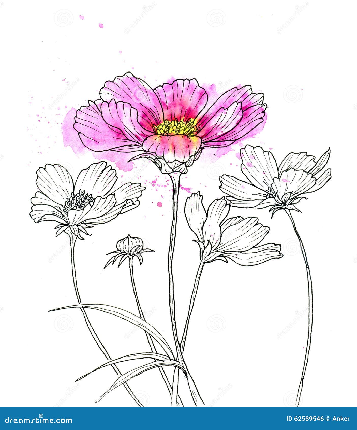 Kreskowy Atramentu Rysunek Kosmosu Kwiat Ilustracji