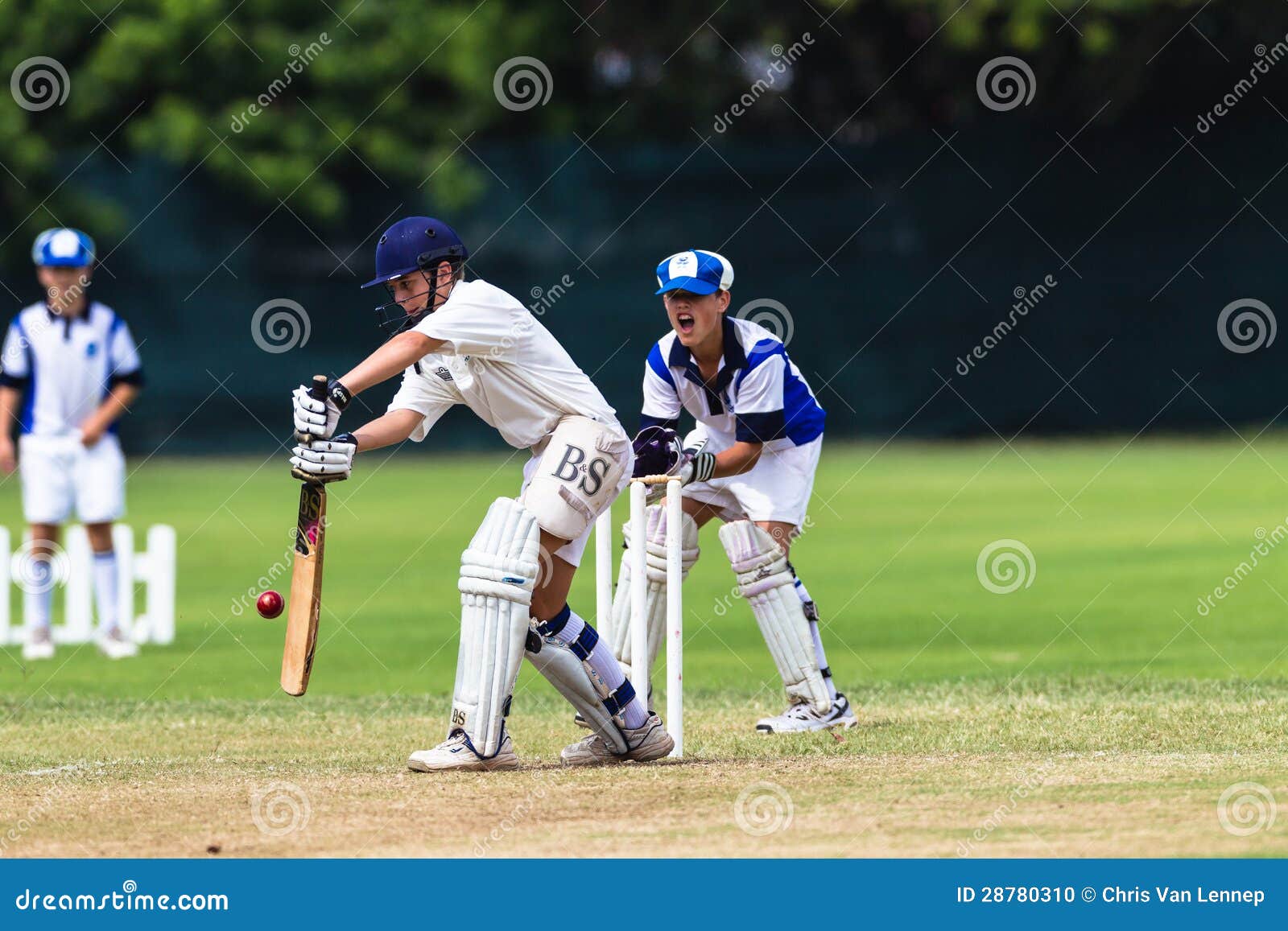 KricketJuniorSchlagmannWicketkeeper Redaktionelles Bild Bild von schiedsrichter, afrika 28780310