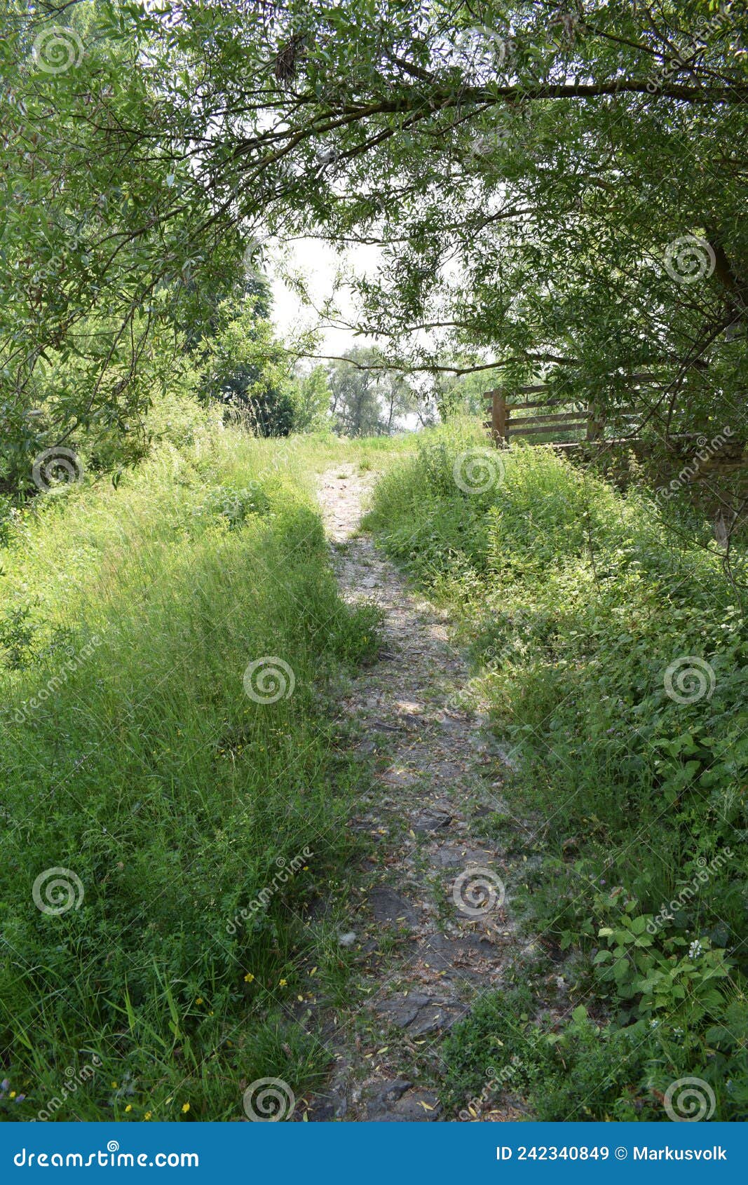 kripp, germany - 06 09 2021: path from the ahrmÃÂ¼ndung to the bridge