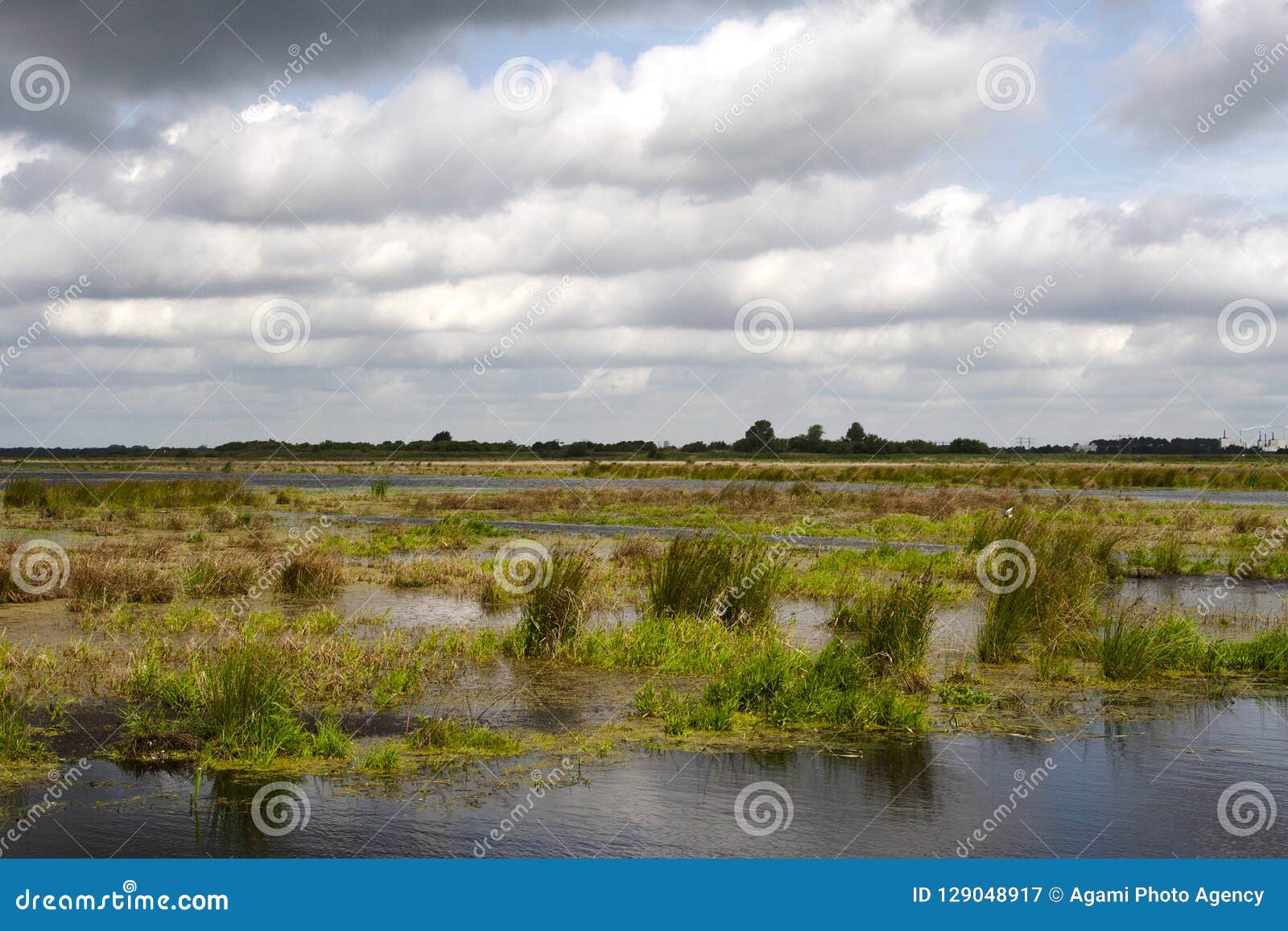 kropswolderbuitenpolder, groningen (nederland / netherlands)