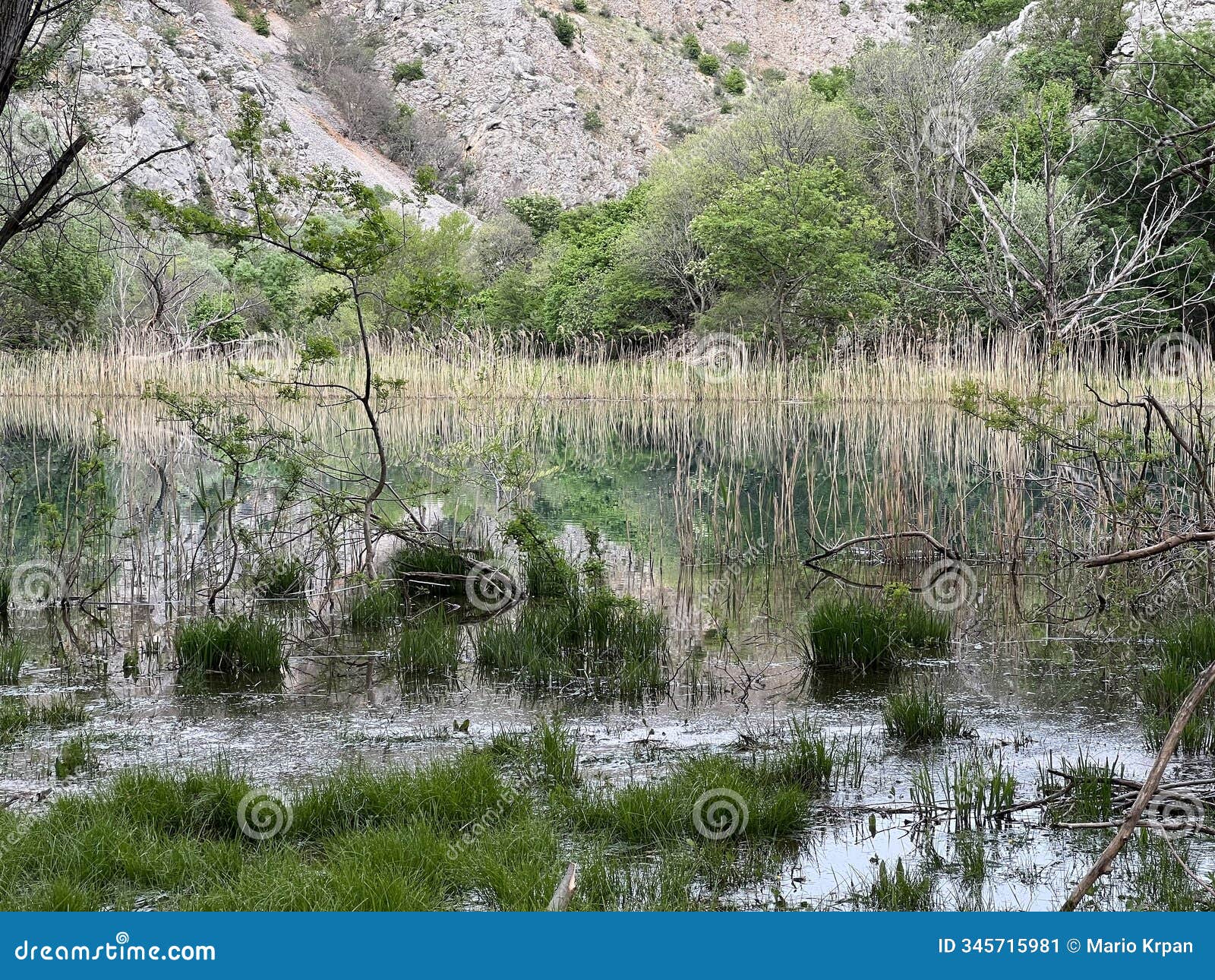 krupa river, right tributary of zrmanja (velebit nature park, croatia) - fluss krupa, rechter nebenfluss der zrmanja