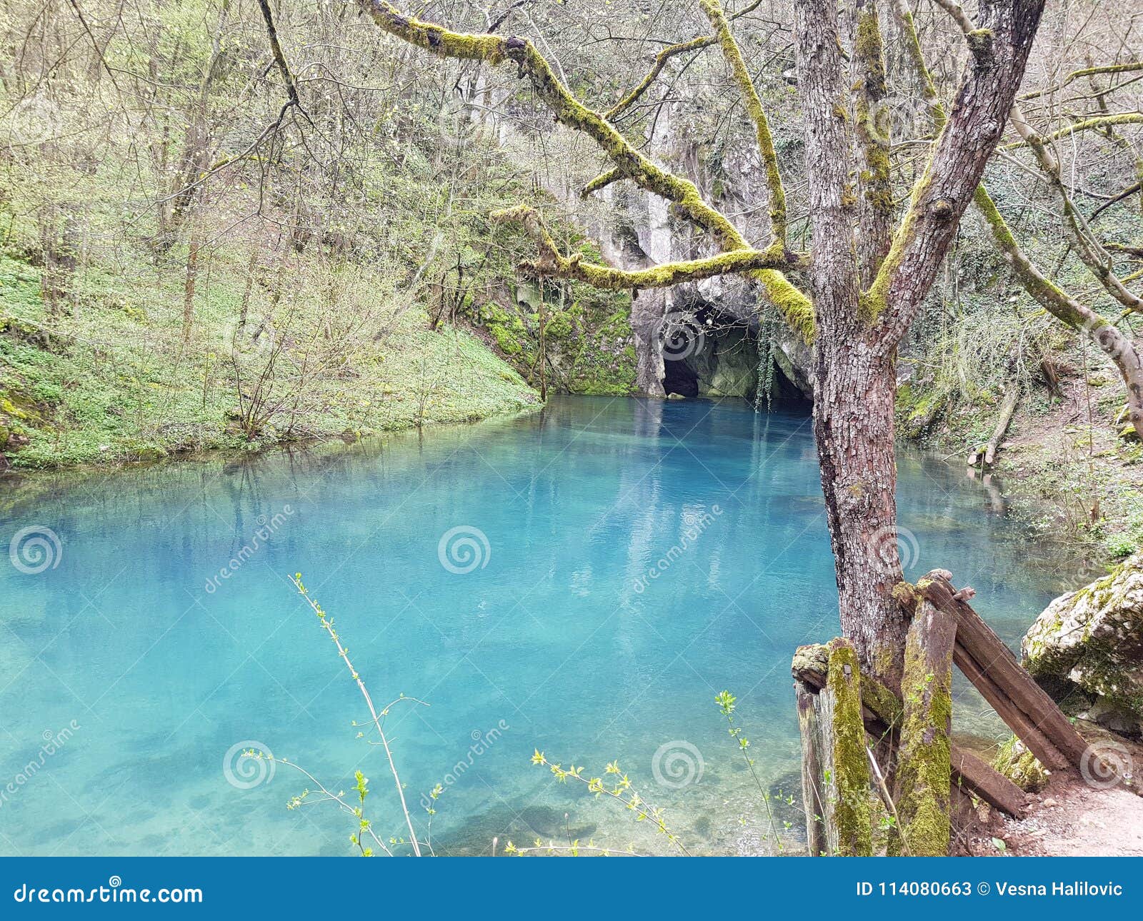 the krupaj springs , an ecological oasis
