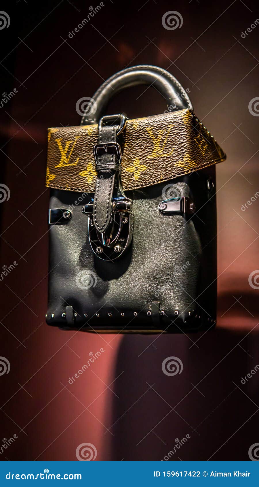 Louis Vuitton Monogram Leather Camera Box Handbag At The Time Capsule Exhibition By Louis ...