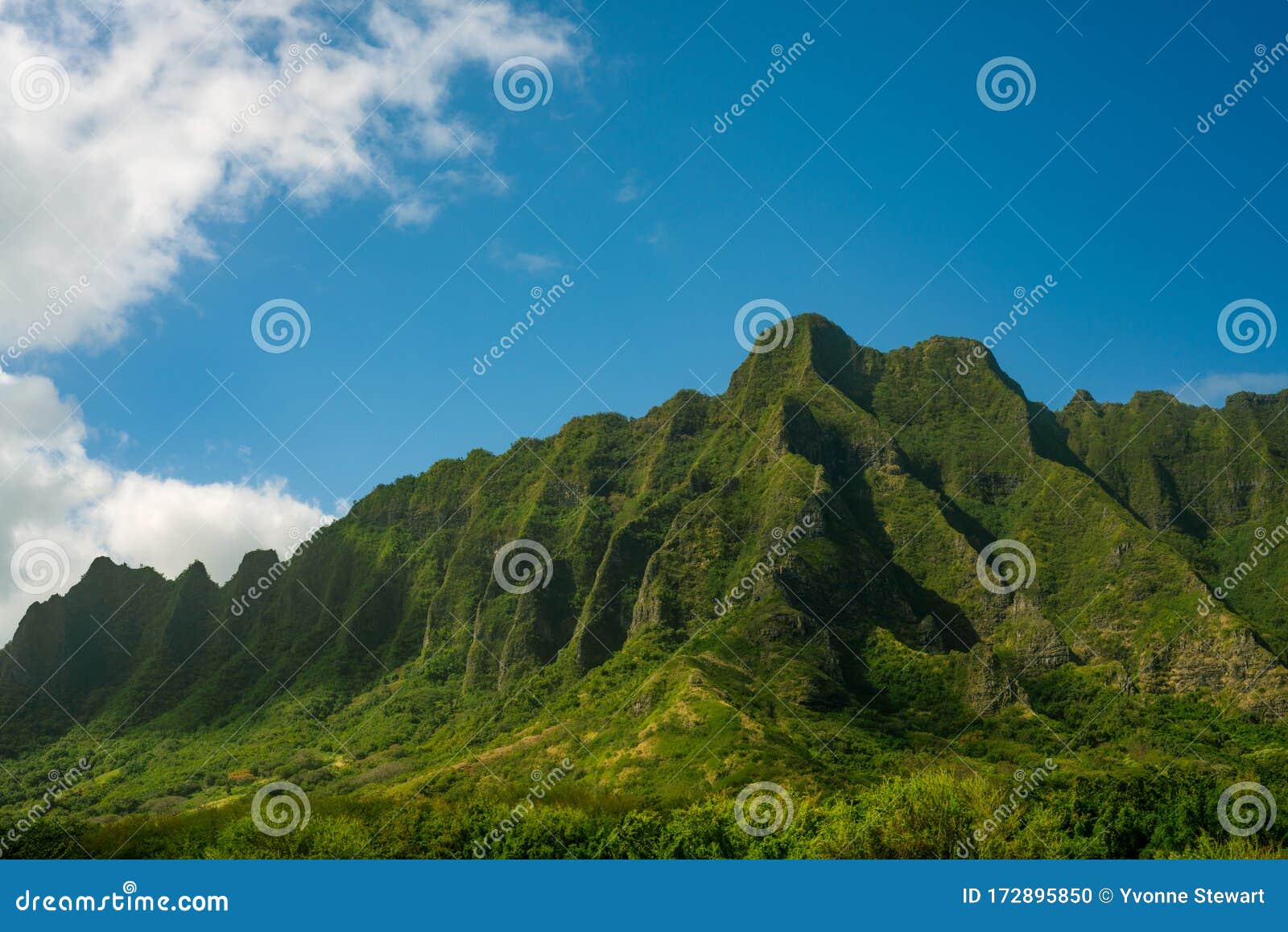 Kualoa Mountains Oahu Hawaii Stock Photo Image of explore, hike
