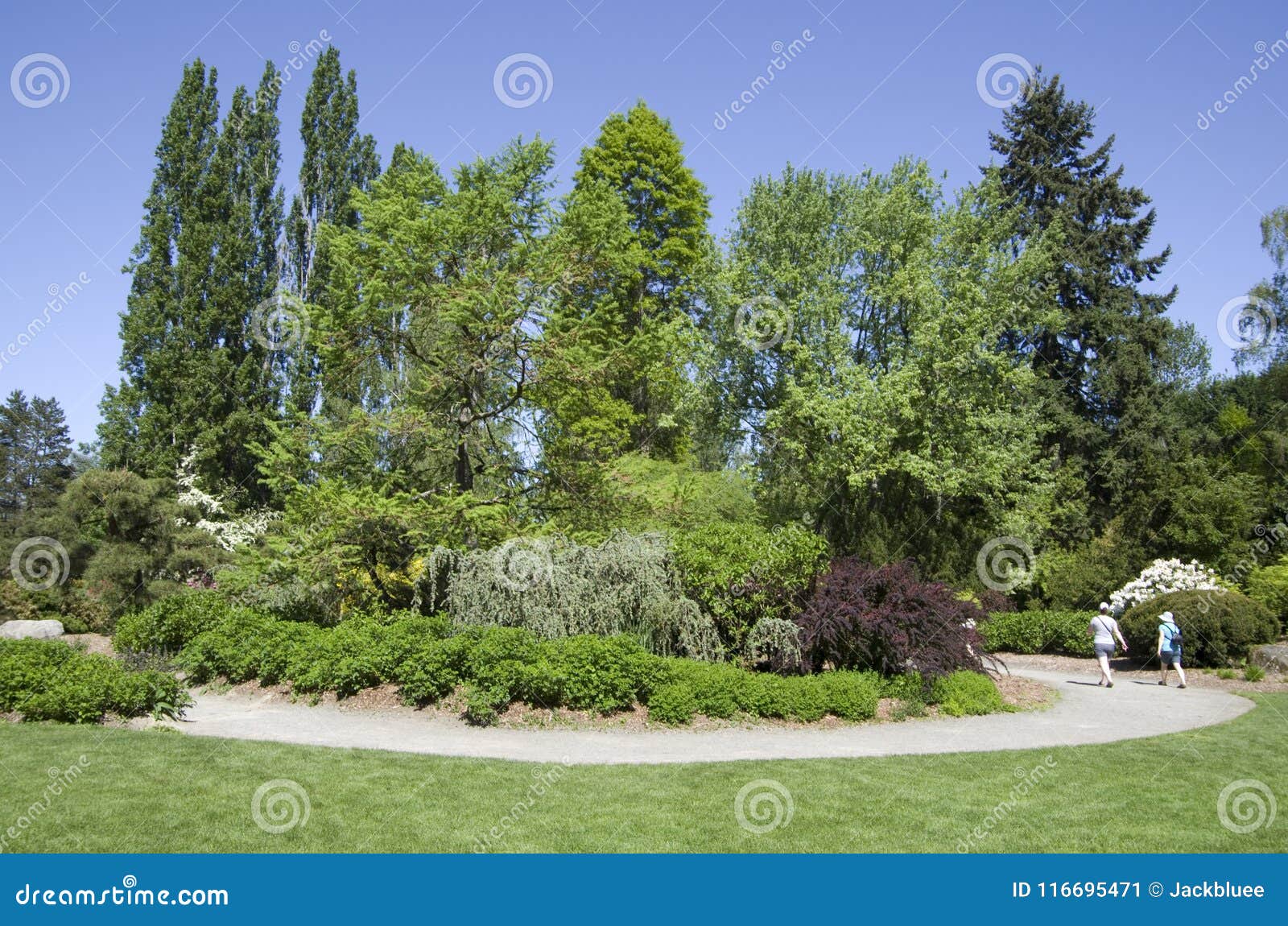 Kubota Japanese Garden Seattle May Editorial Photo Image Of