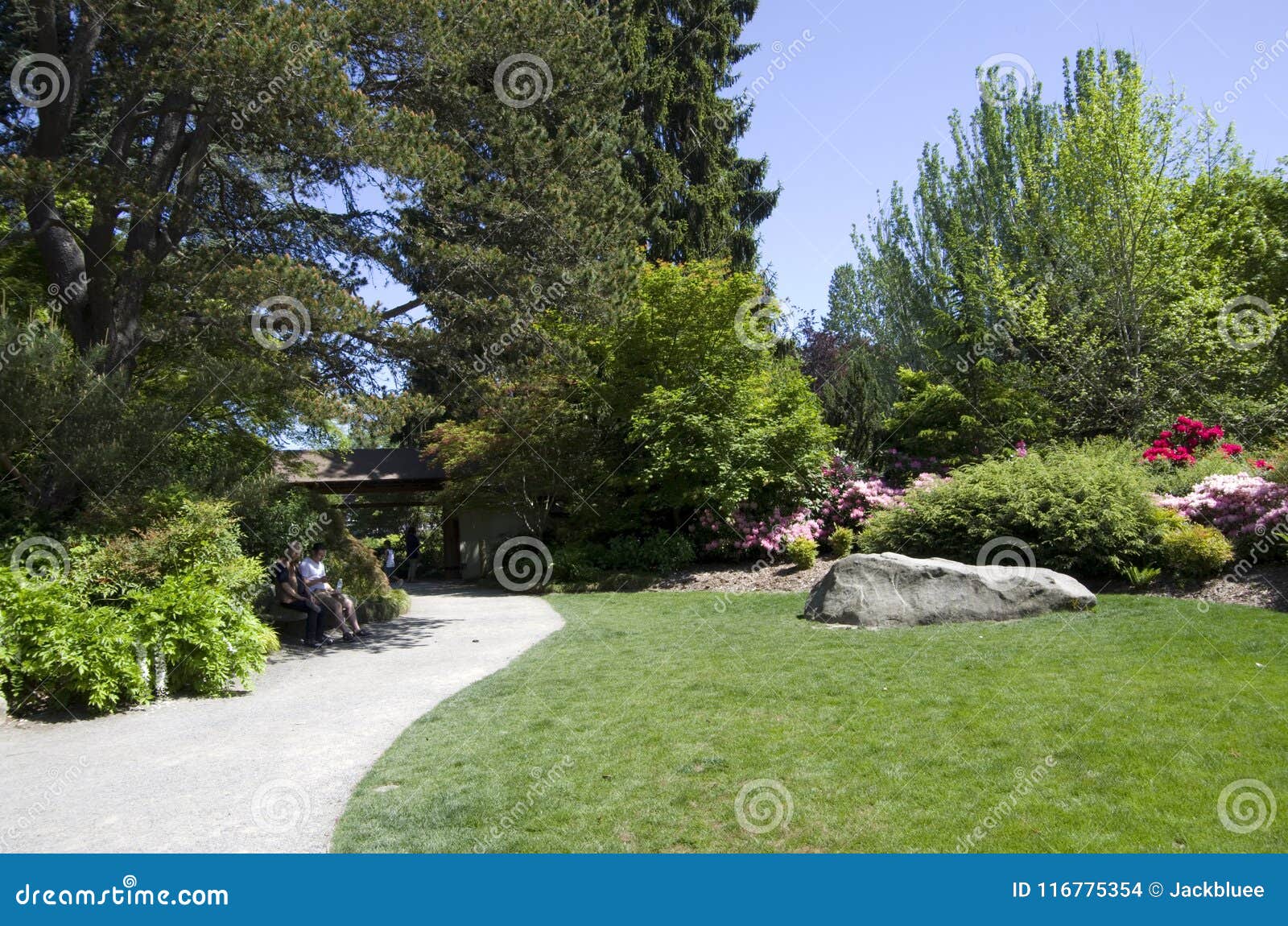 Kubota Japanese Garden Seattle May Editorial Stock Image Image