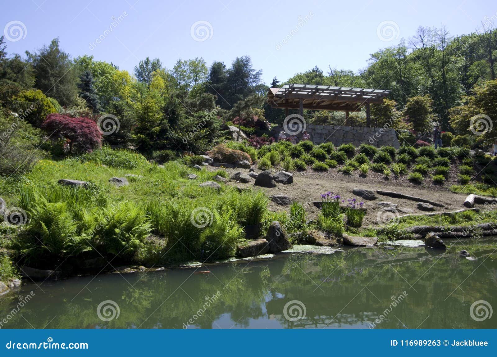 Kubota Japanese Garden Seattle May Editorial Stock Photo Image