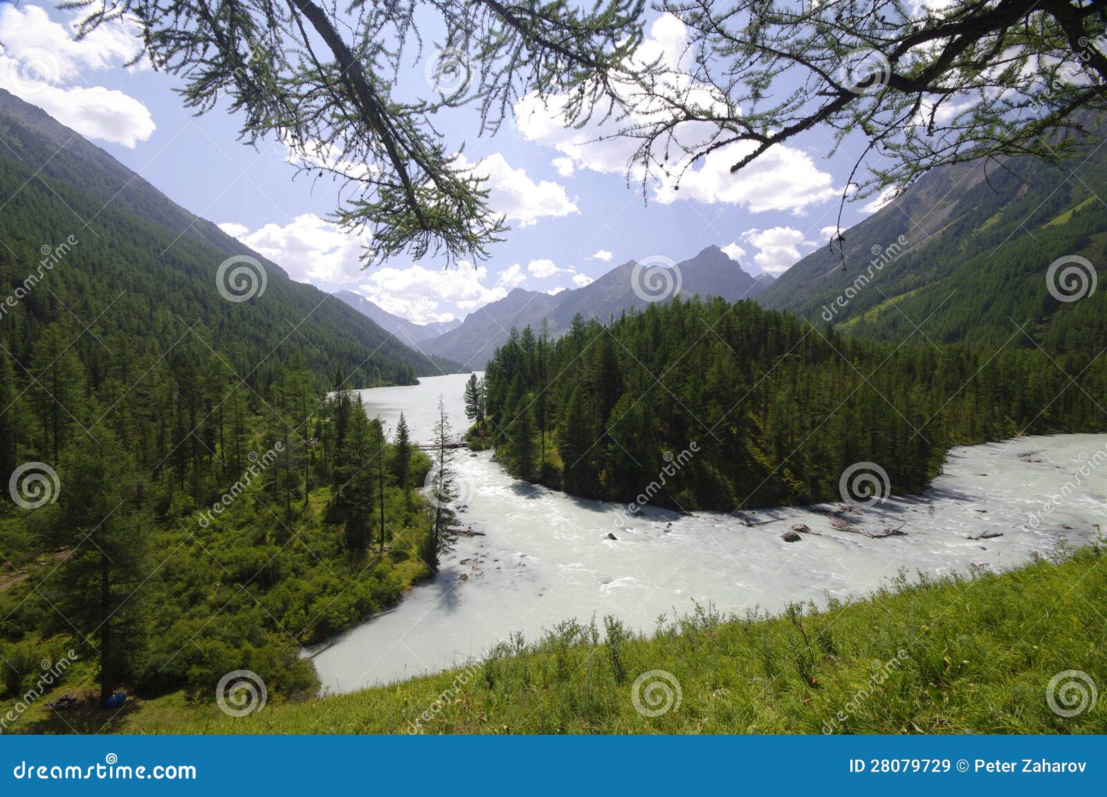 kucherlinskoe lake, altay, russia