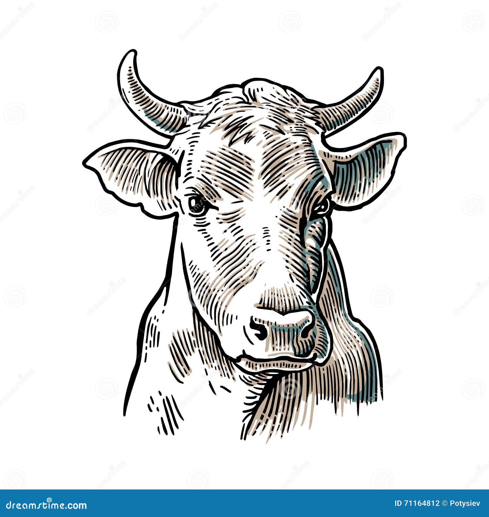 Kuh drucken Muster Tier nahtlos. Weiß Kuh Haut abstrakt zum Drucken,  Schneiden, Aufkleber, Netz, Abdeckung, Zuhause schmücken und mehr. 22588125  Vektor Kunst bei Vecteezy