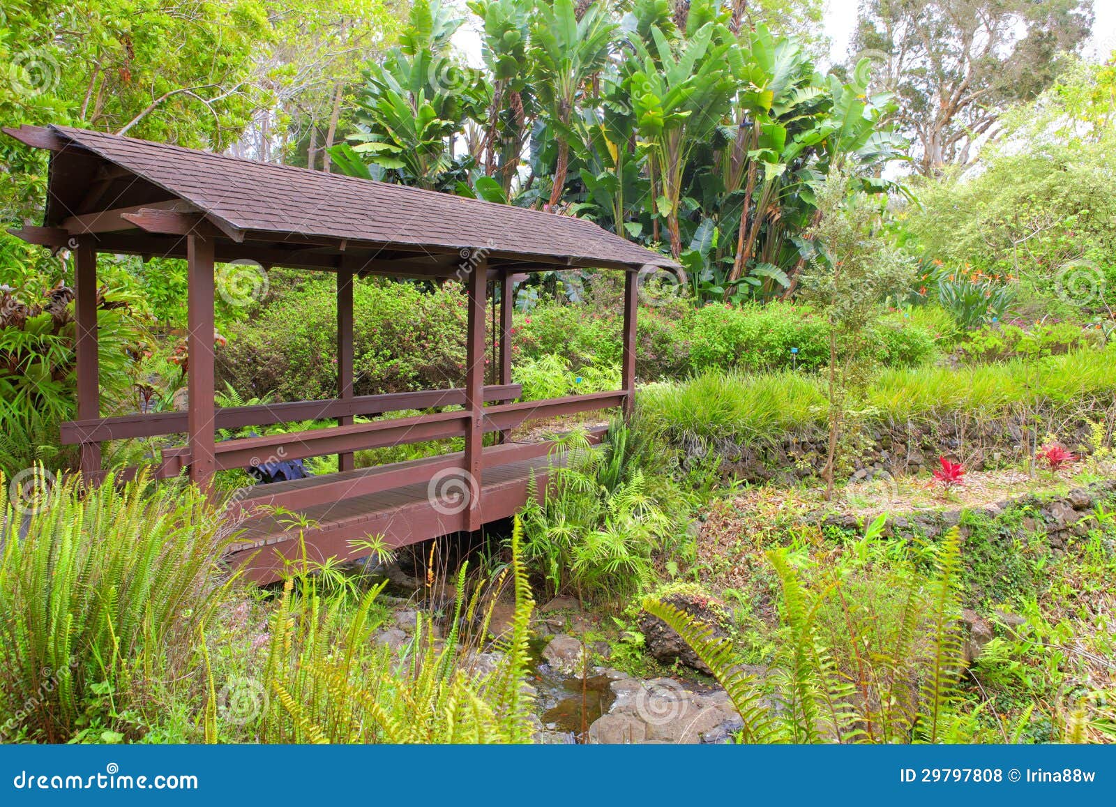 Kula Botanical Garden Maui Hawaii Covered Bridge Tropical