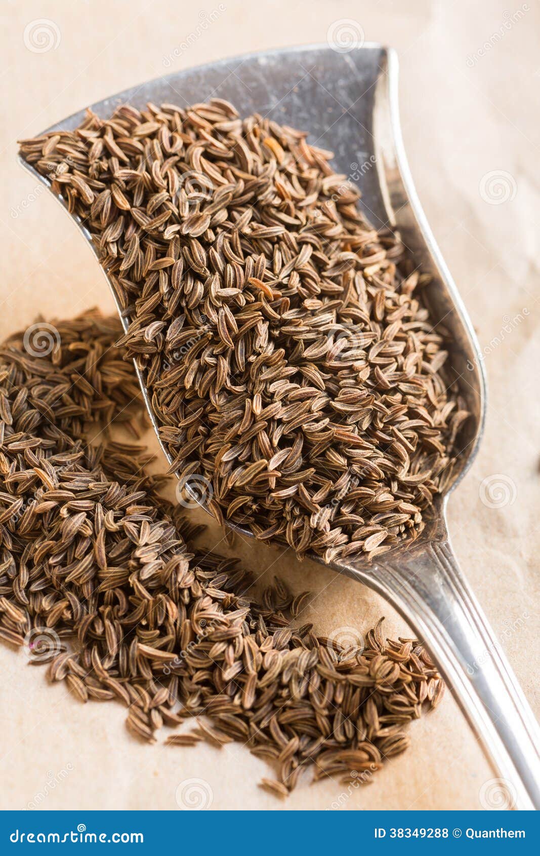 Kummel seeds stock photo. Image of view, spoon, herb 38349288