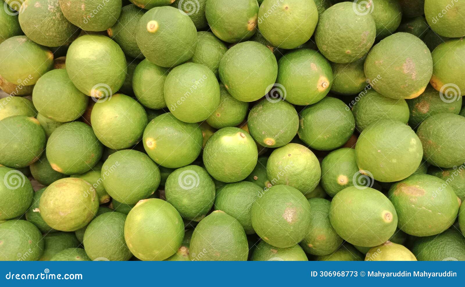 Kumpulan Buah Jeruk Nipis Lemon Fruit Stock Image - Image of evergreen