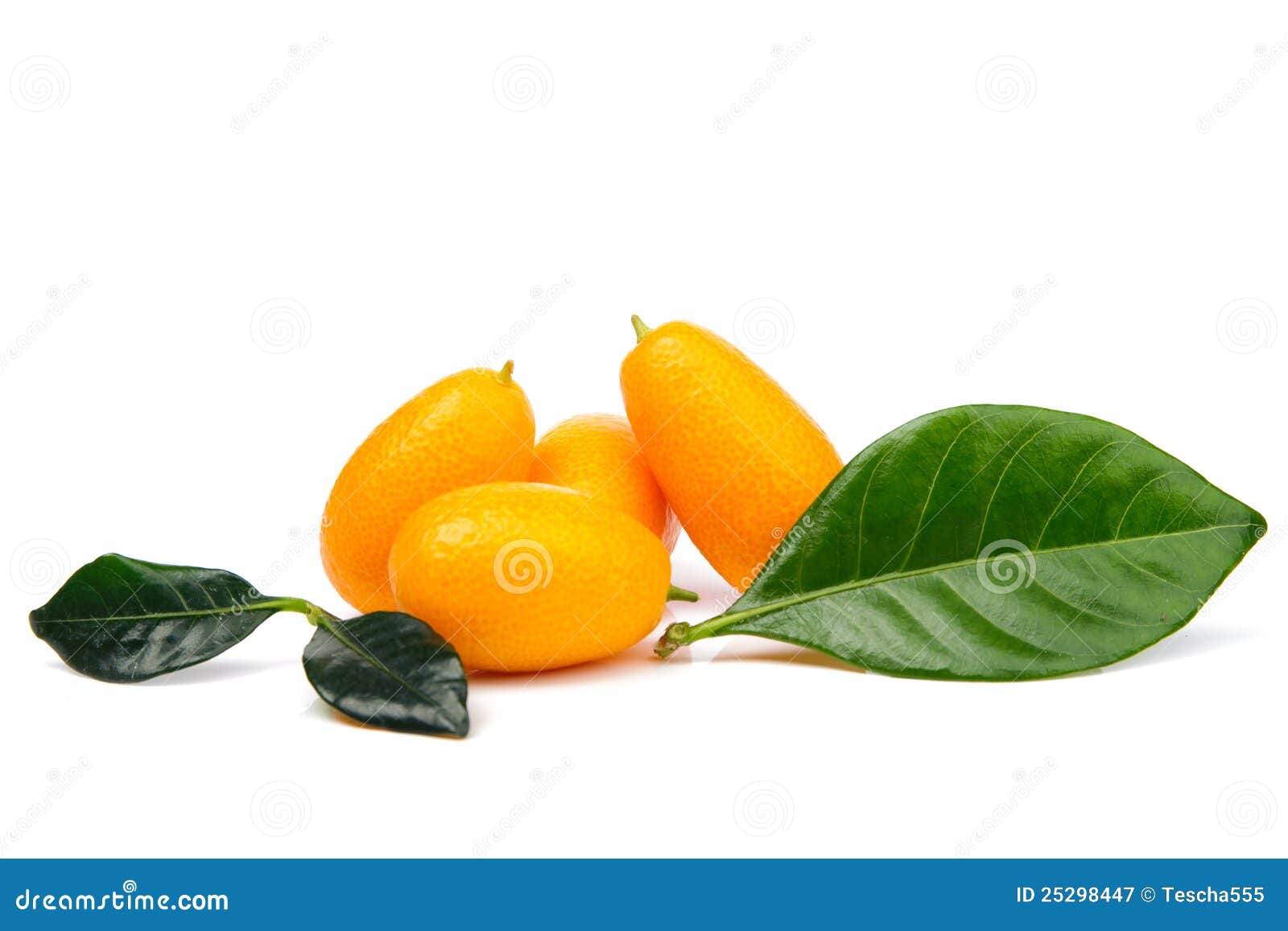 Kumquat stock image. Image of white, crop, vitamin, kumquat 25298447
