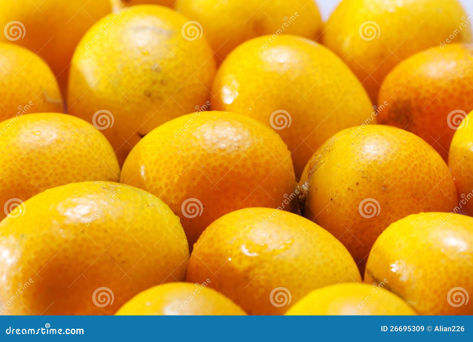 Предпосылка плодоовощей kumquat