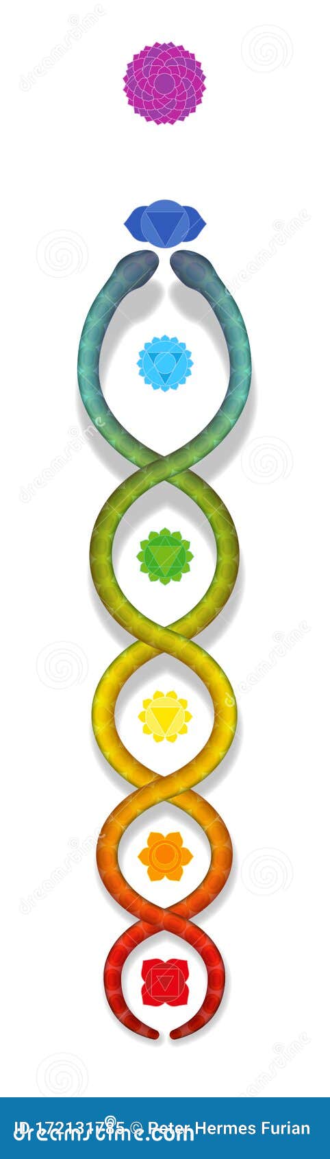 Kundalini Serpent Stock Illustrations – 70 Kundalini Serpent Stock