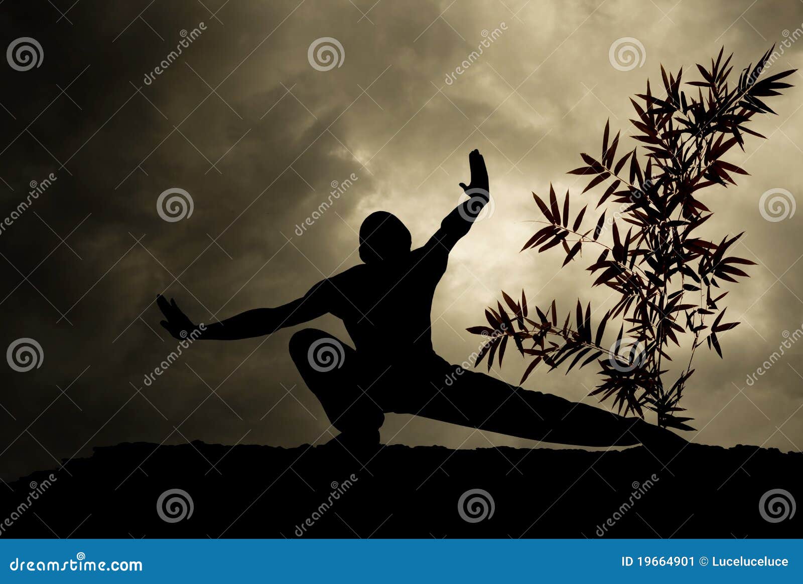 kung fu martial art background