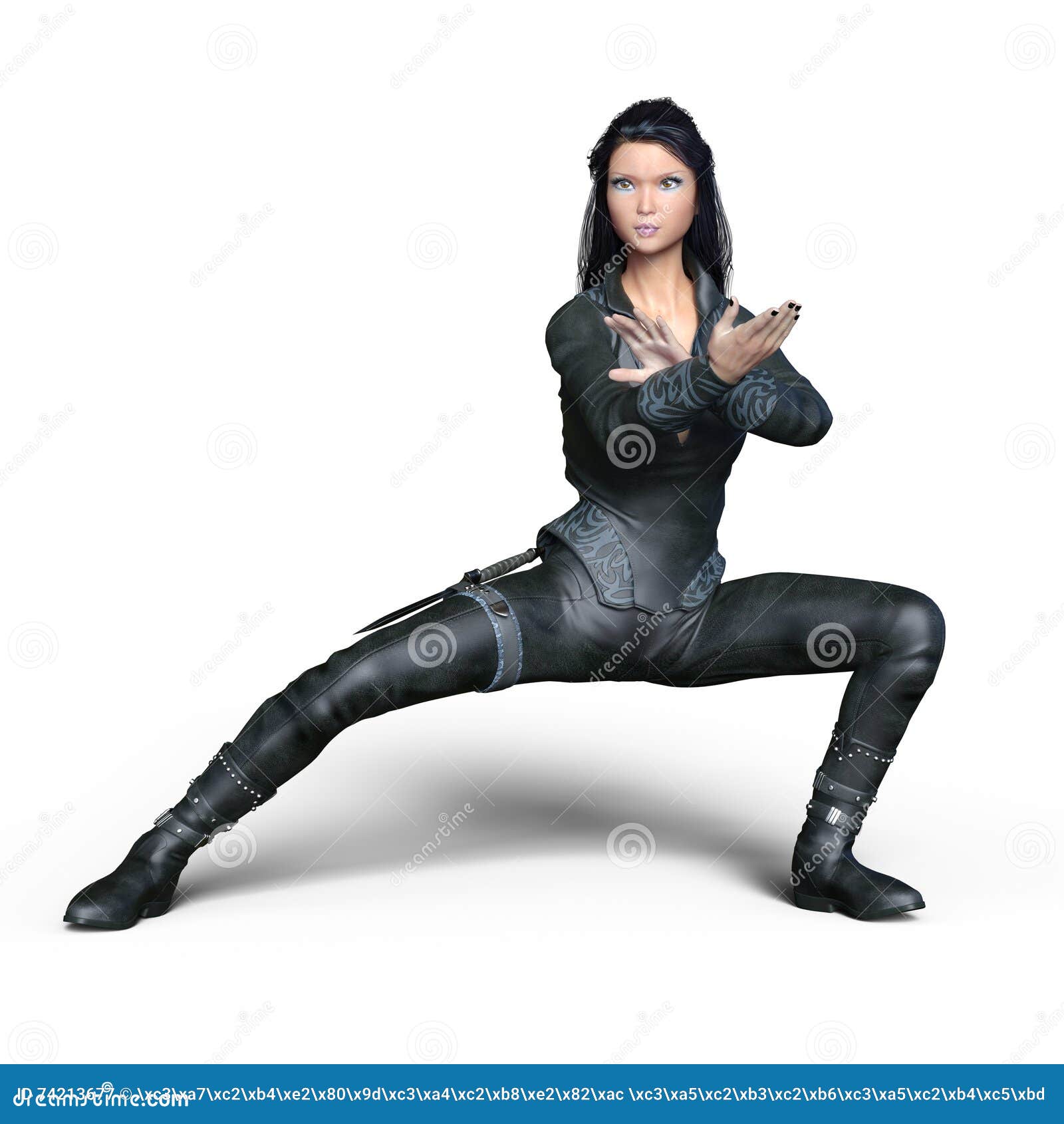 Kungfu woman stock image. Image of background, pose 74213677