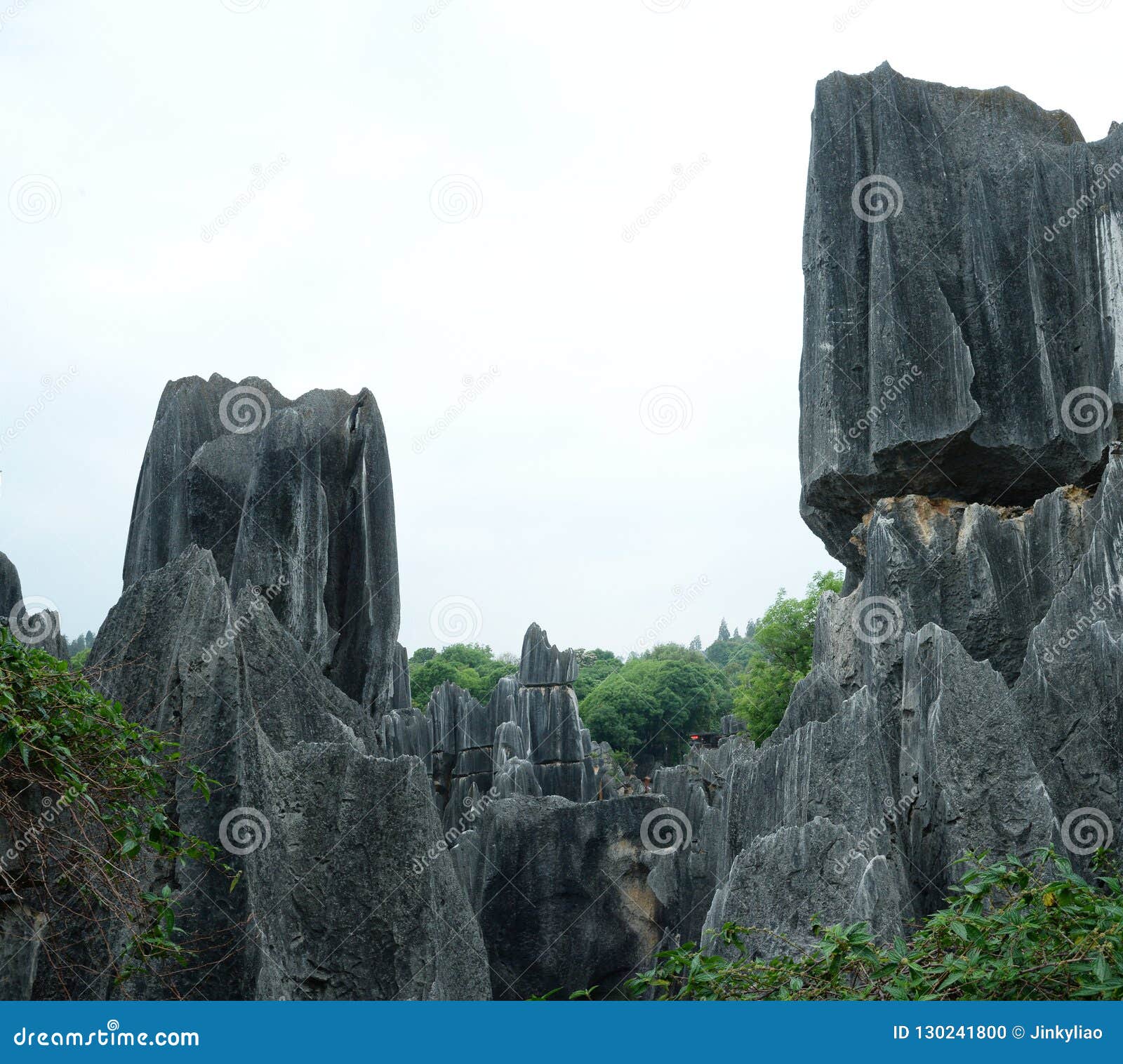 kunming shilin cliff landscape