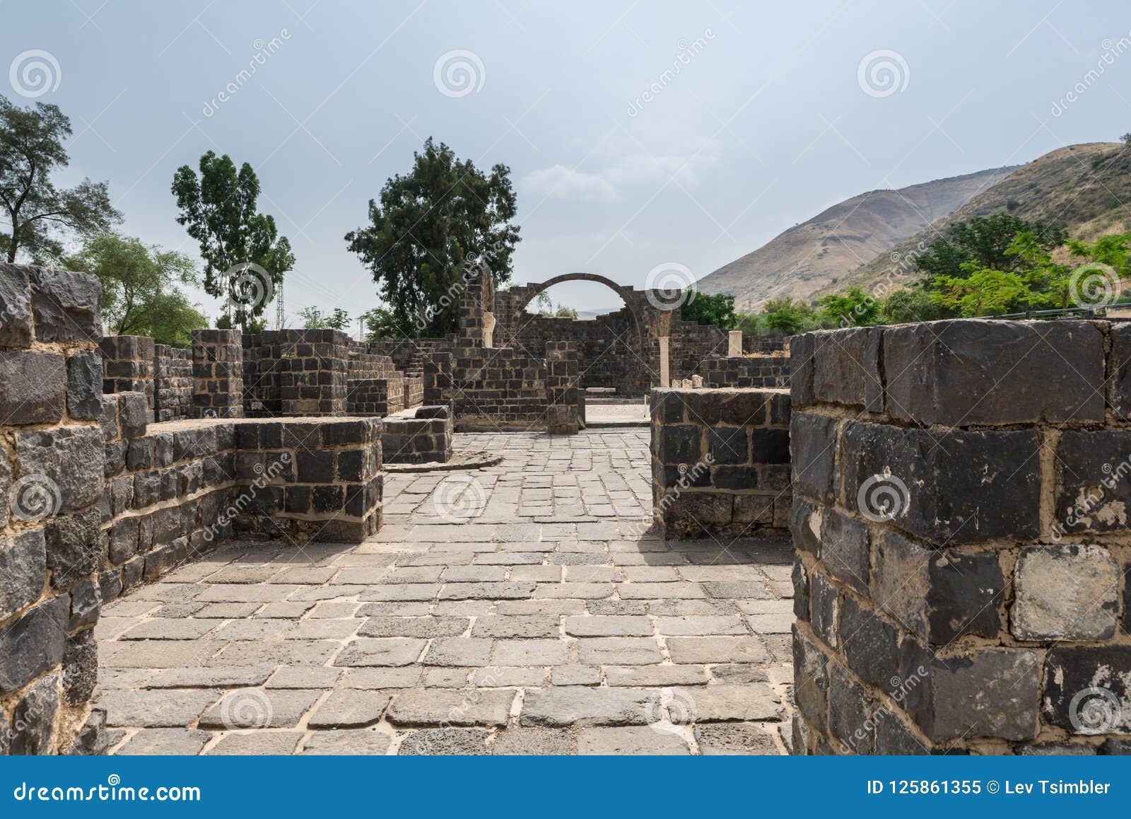  Kursi  National Park At Golan  Heights Stock Image Image 