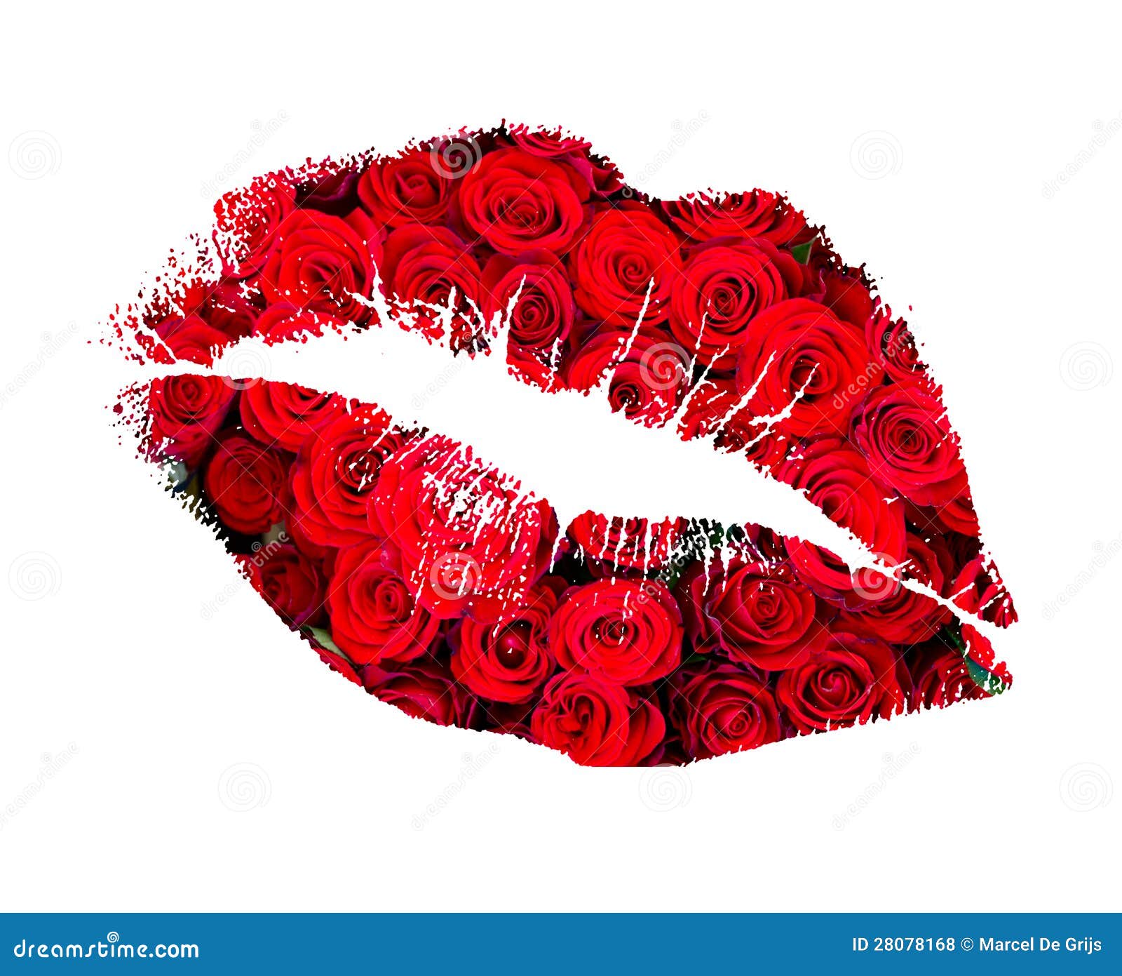 Kuss von einer Rose stockfoto. Bild von markierung, schönheit 28078168